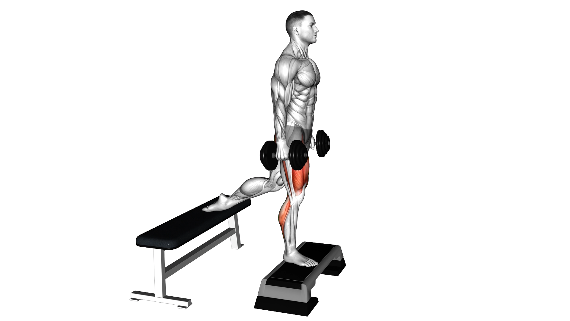 Dumbell Bulgarian Split Squat from Deficit exercise demonstration