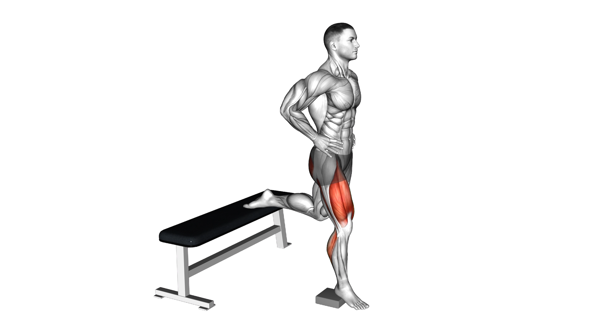 Bodyweight Heel Elevated Bulgarian Split Squat (ma exercise demonstration