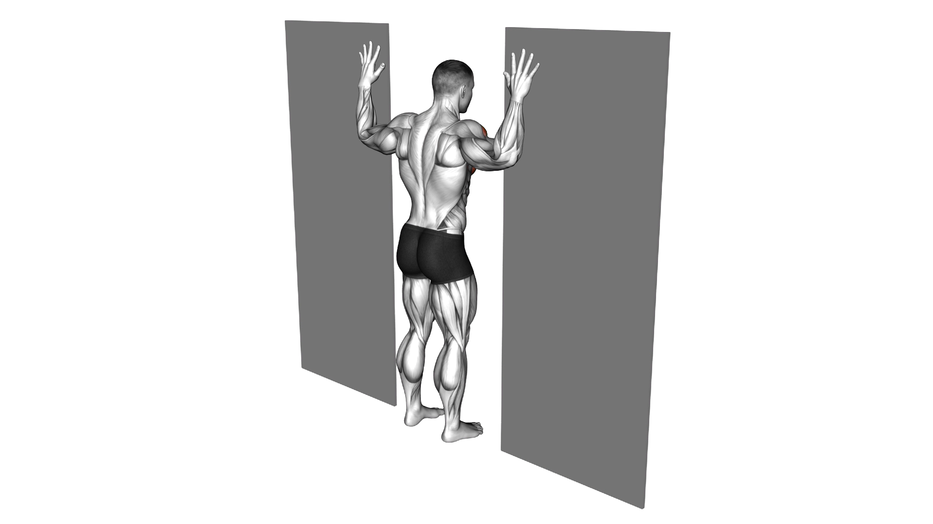 Doorway Chest Stretch exercise demonstration
