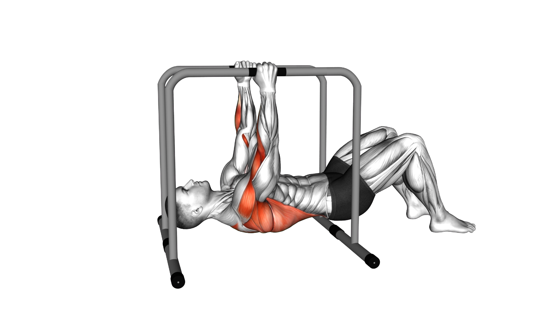 Parallel Bars Bent Knee Inverted Row exercise demonstration
