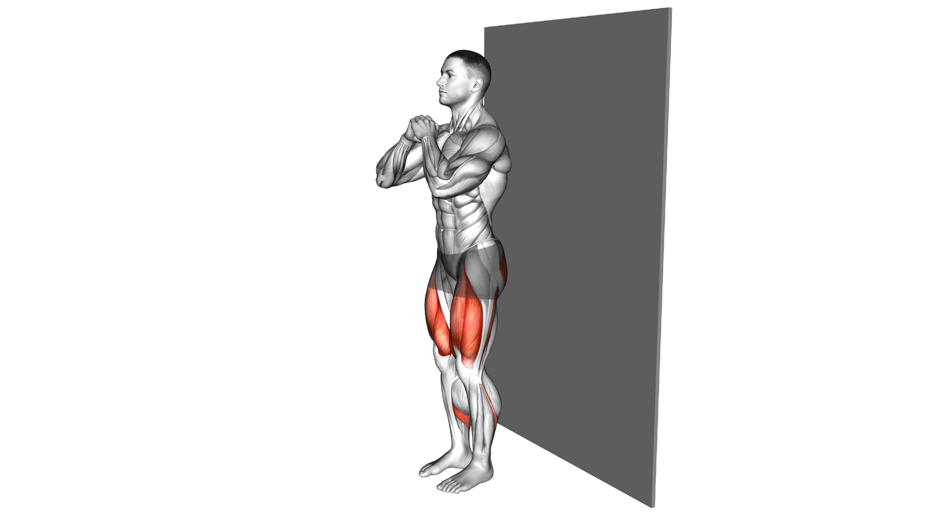 Wall sit (narrow stance) exercise demonstration