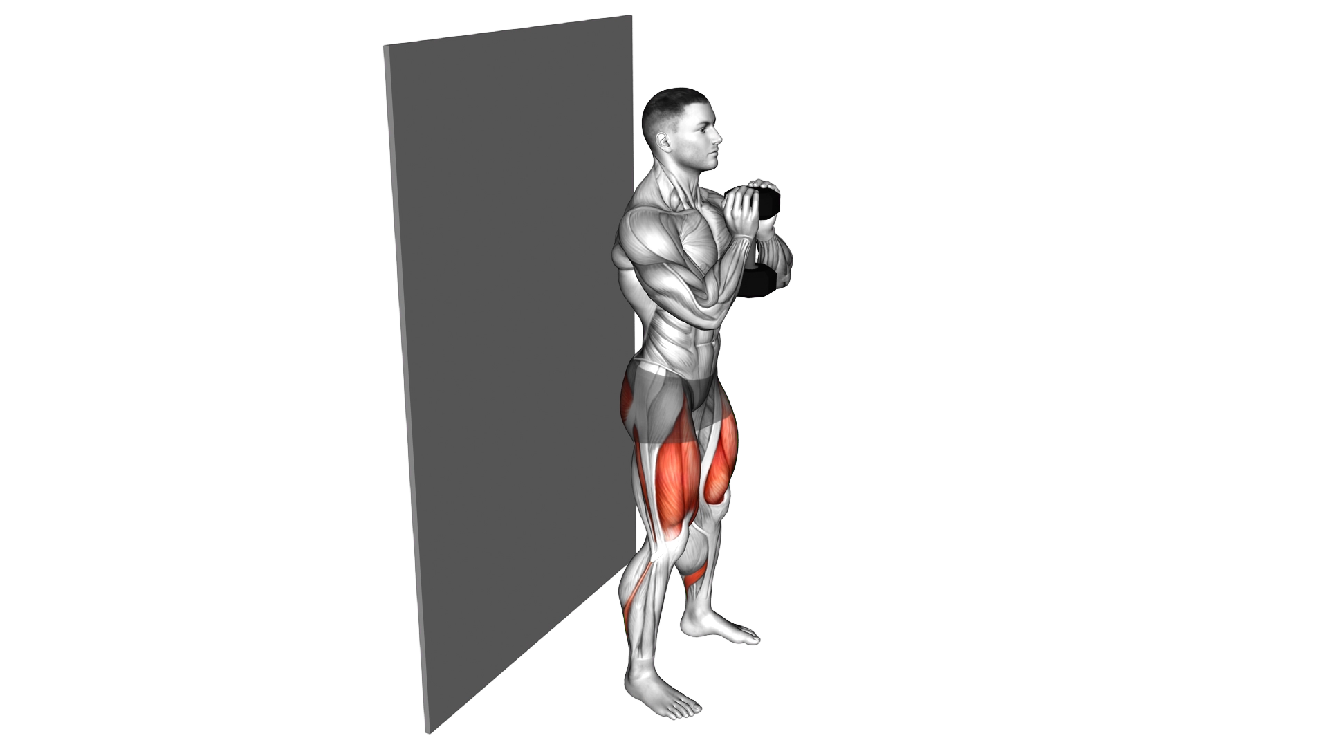 Dumbbell Goblet Wall Sit exercise demonstration