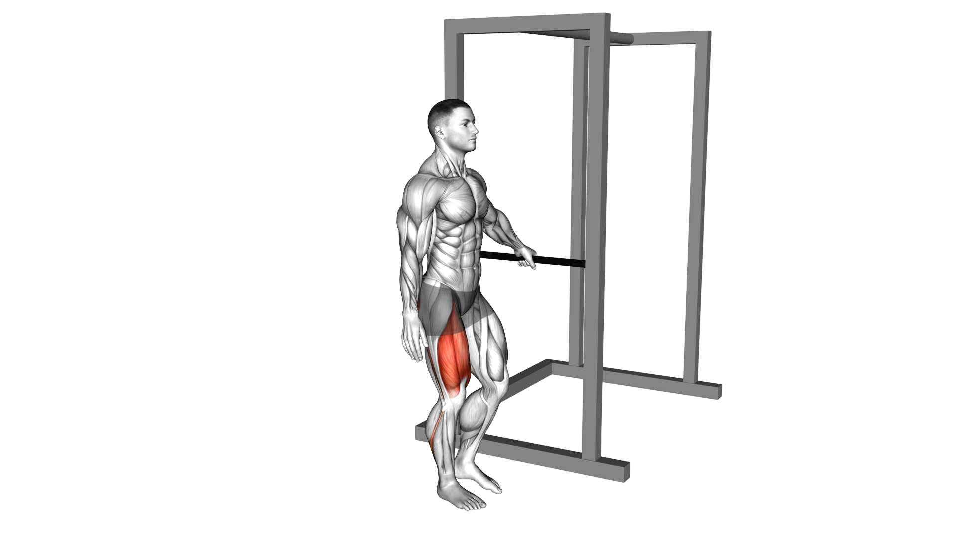 Bodyweight Single Leg Squat with Support exercise demonstration