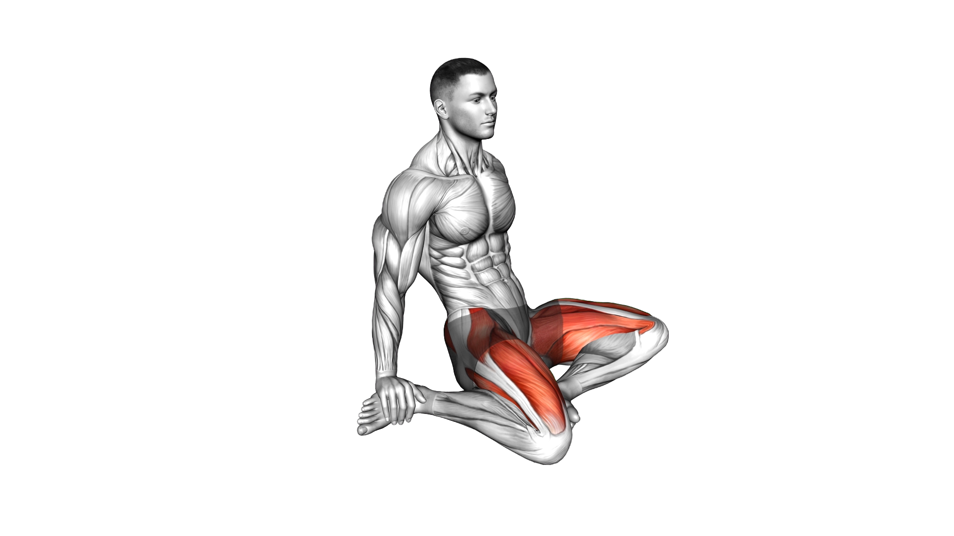 Seated Quadriceps Stretch exercise demonstration
