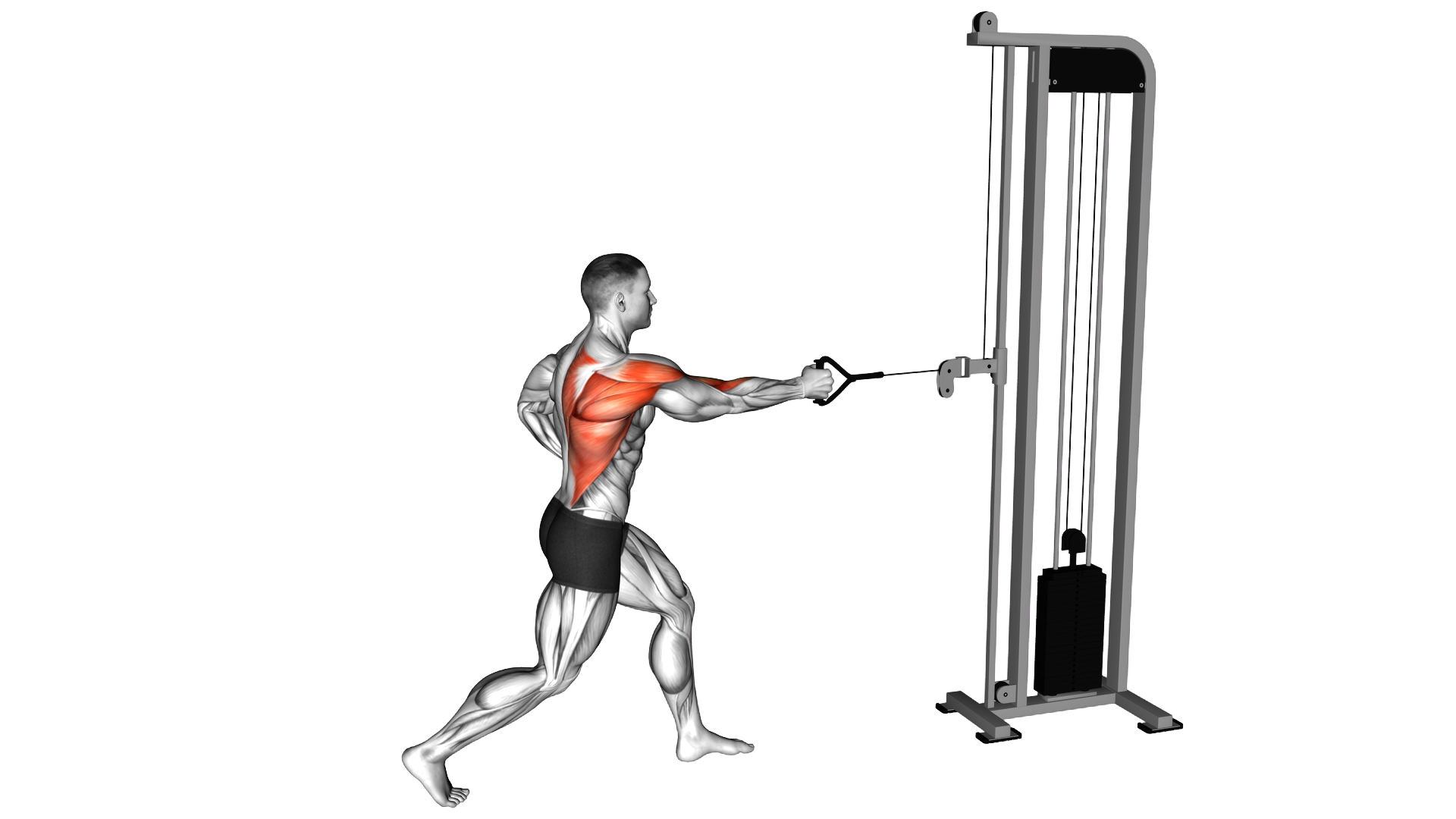 Cable Split Stance Single Arm Row exercise demonstration