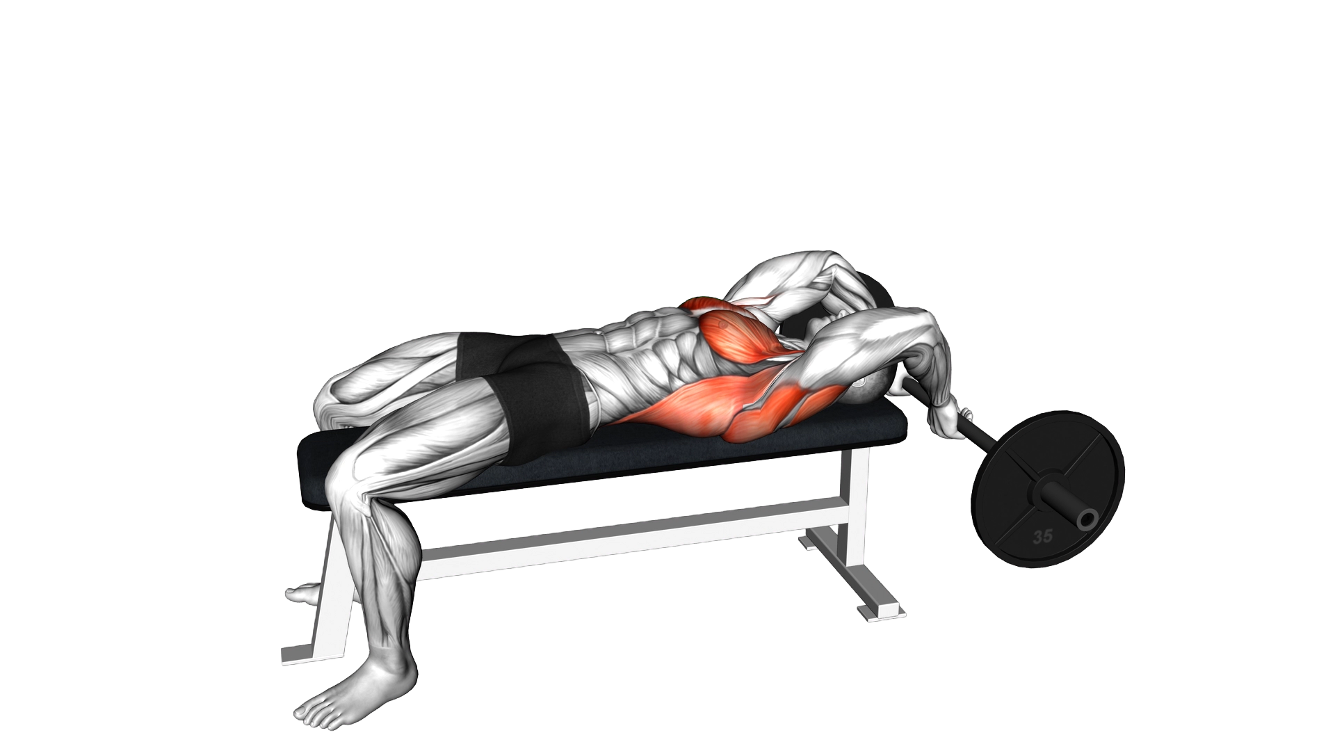 Barbell Bent Arm Pullover exercise demonstration