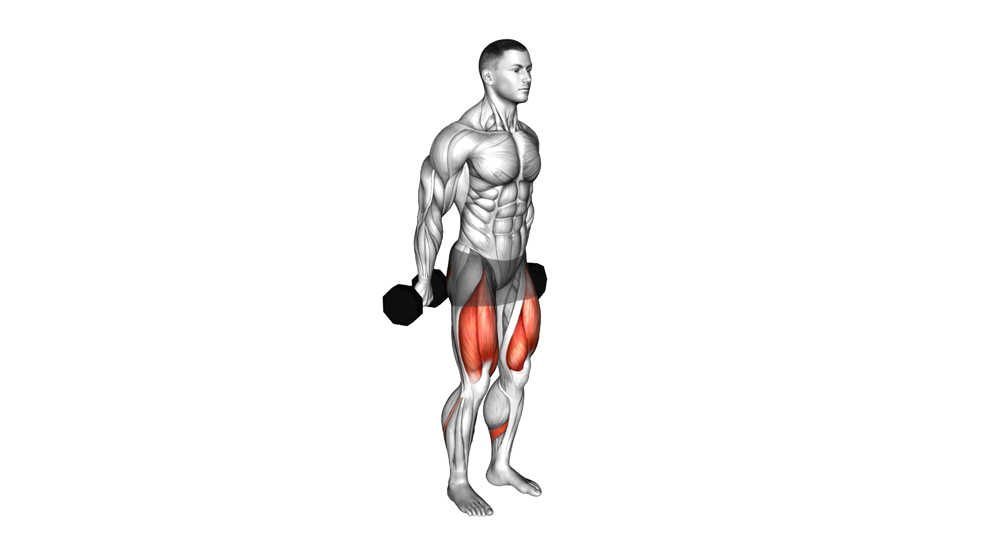 Dumbbell Hack Squat exercise demonstration