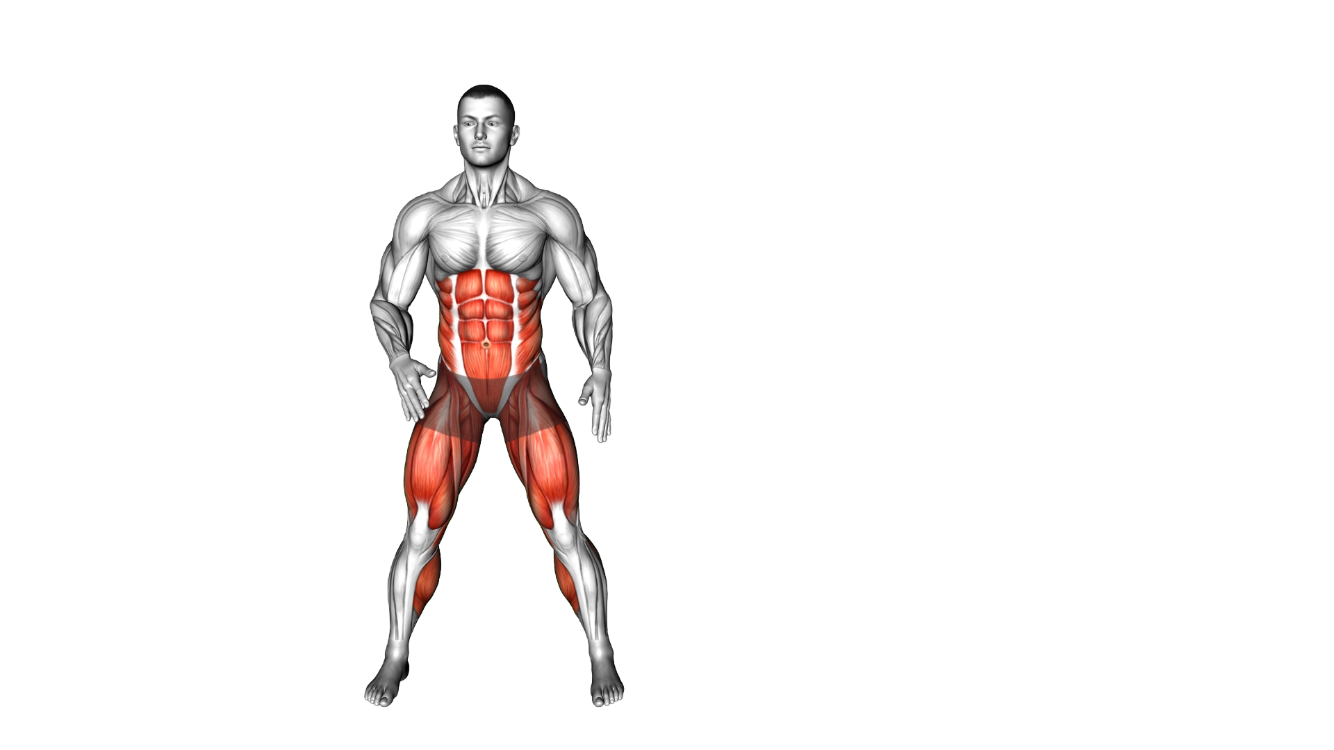 Back Shuffle Side Kickout exercise demonstration