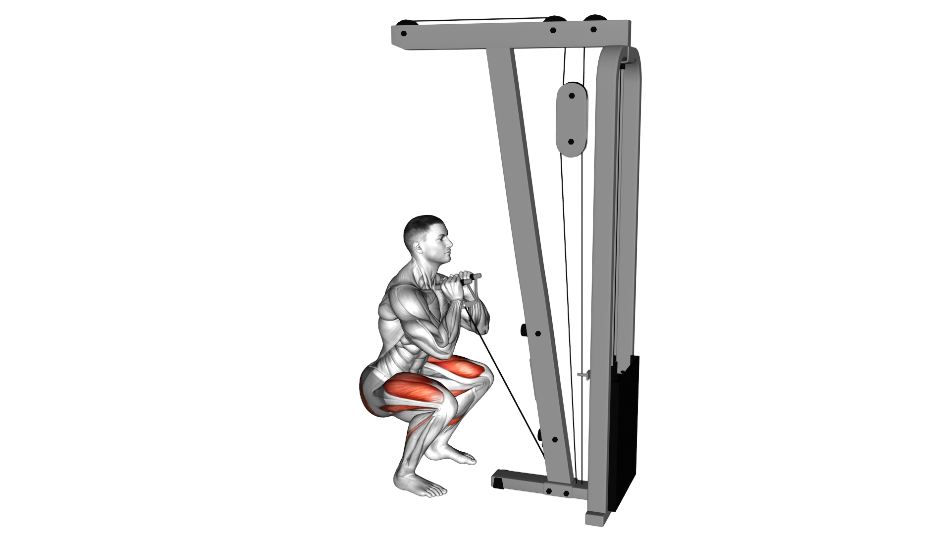 Cable Front Squat with V bar exercise demonstration