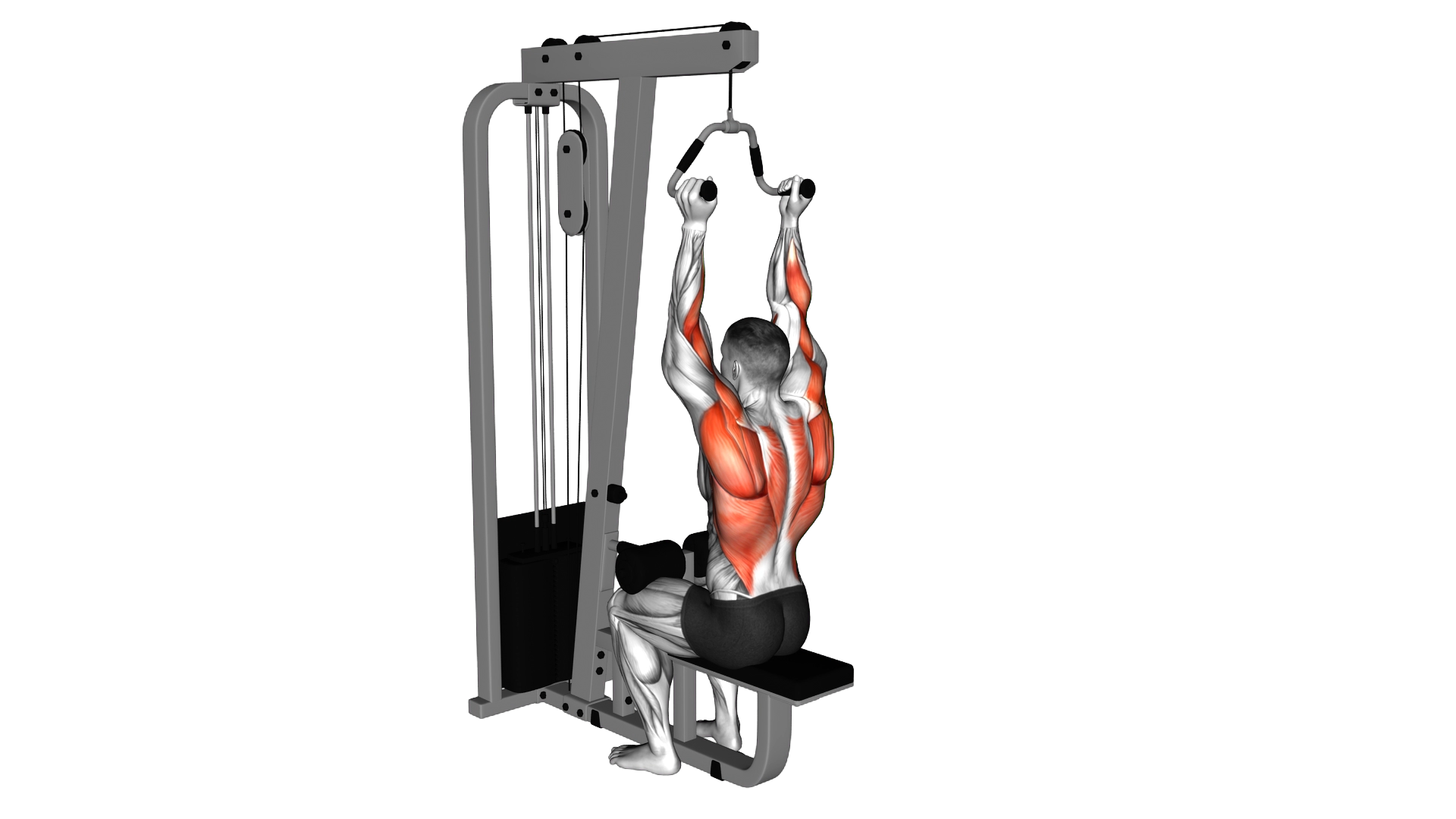 Cable Neutral Grip Lat Pulldown exercise demonstration
