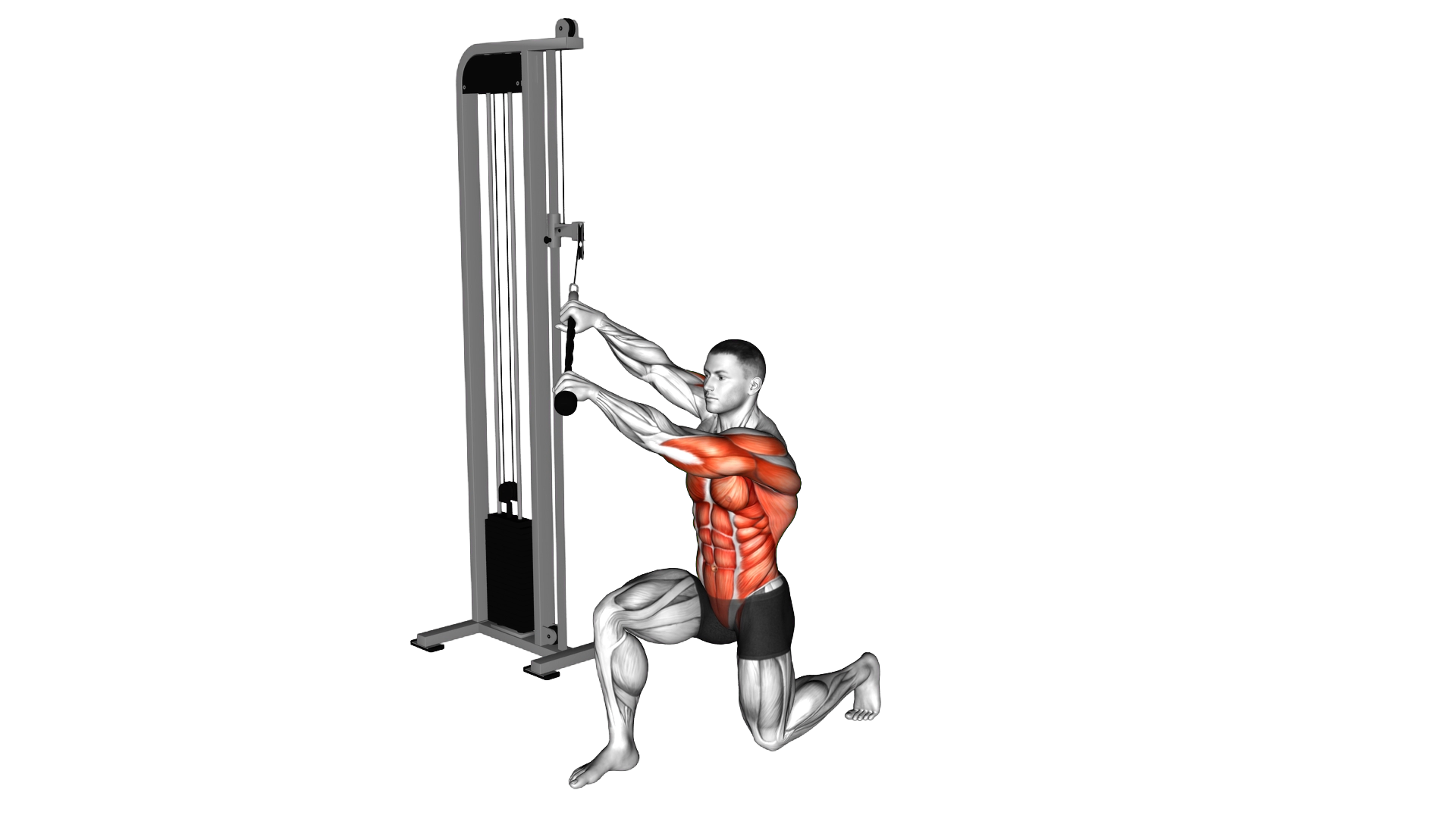 Cable Kneeling High Low Anti Rotation Chop exercise demonstration