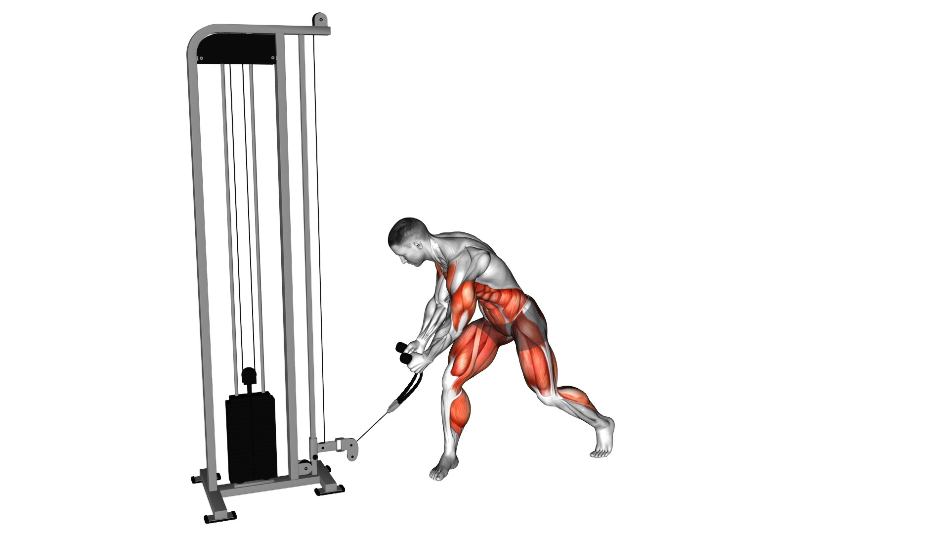 Twist Turn Lift exercise demonstration