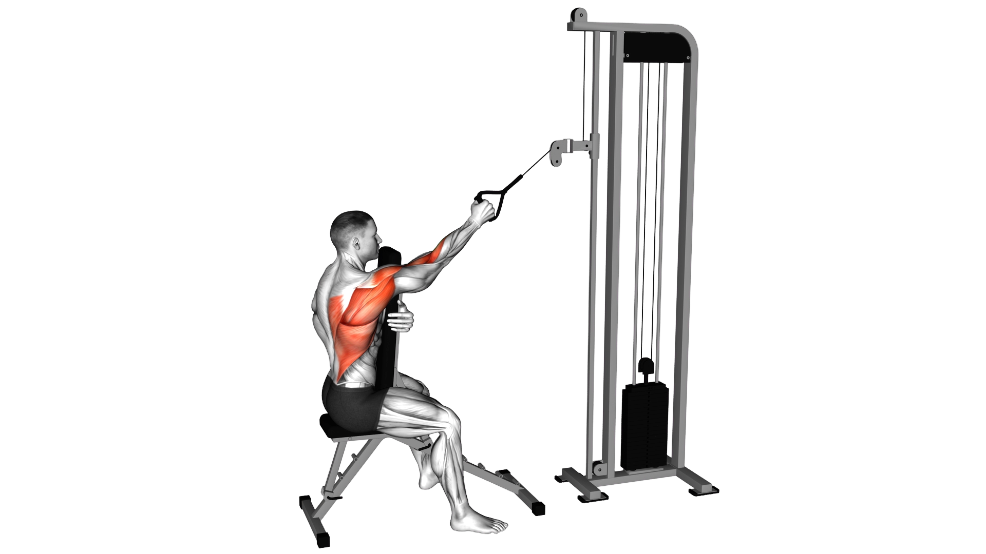 Cable Single Arm High Row with Chest Support exercise demonstration