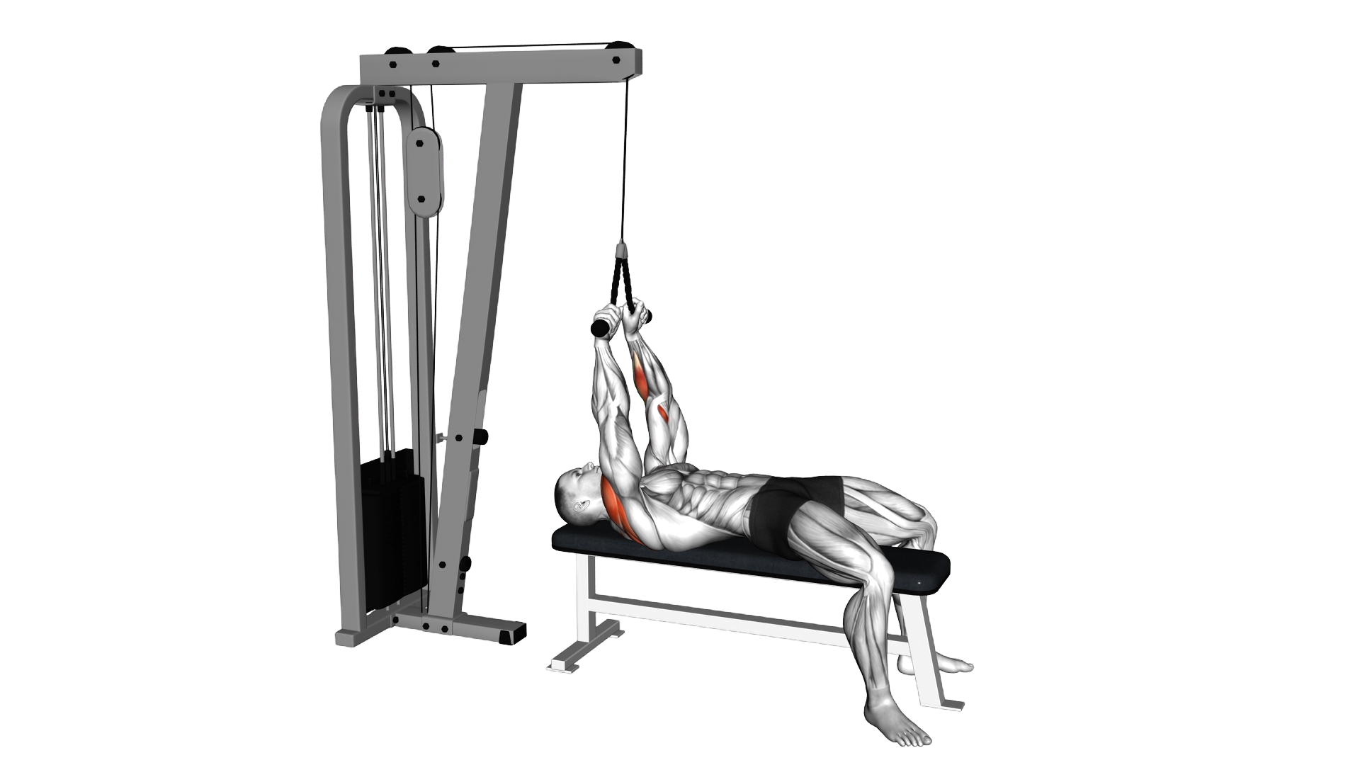 Cable Lying Face Pull exercise demonstration