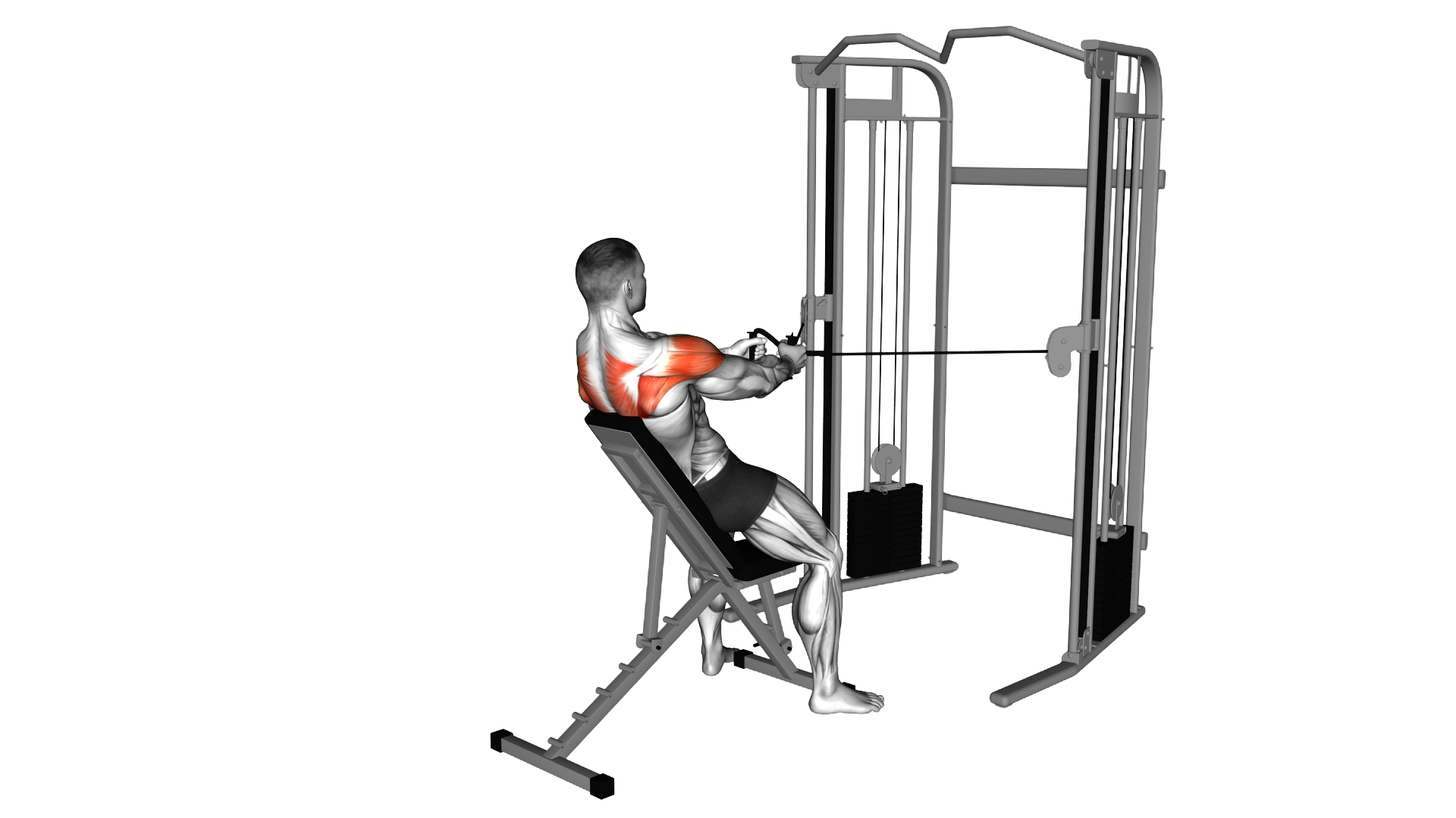 Cable Incline Rear Delt Fly with Back Support exercise demonstration