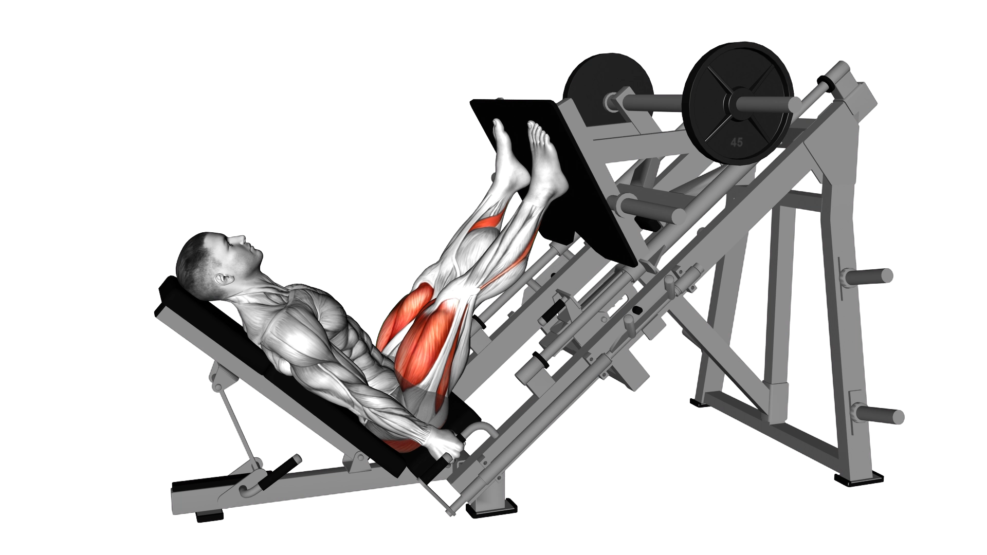 Sled Glute Dominant Leg Press exercise demonstration
