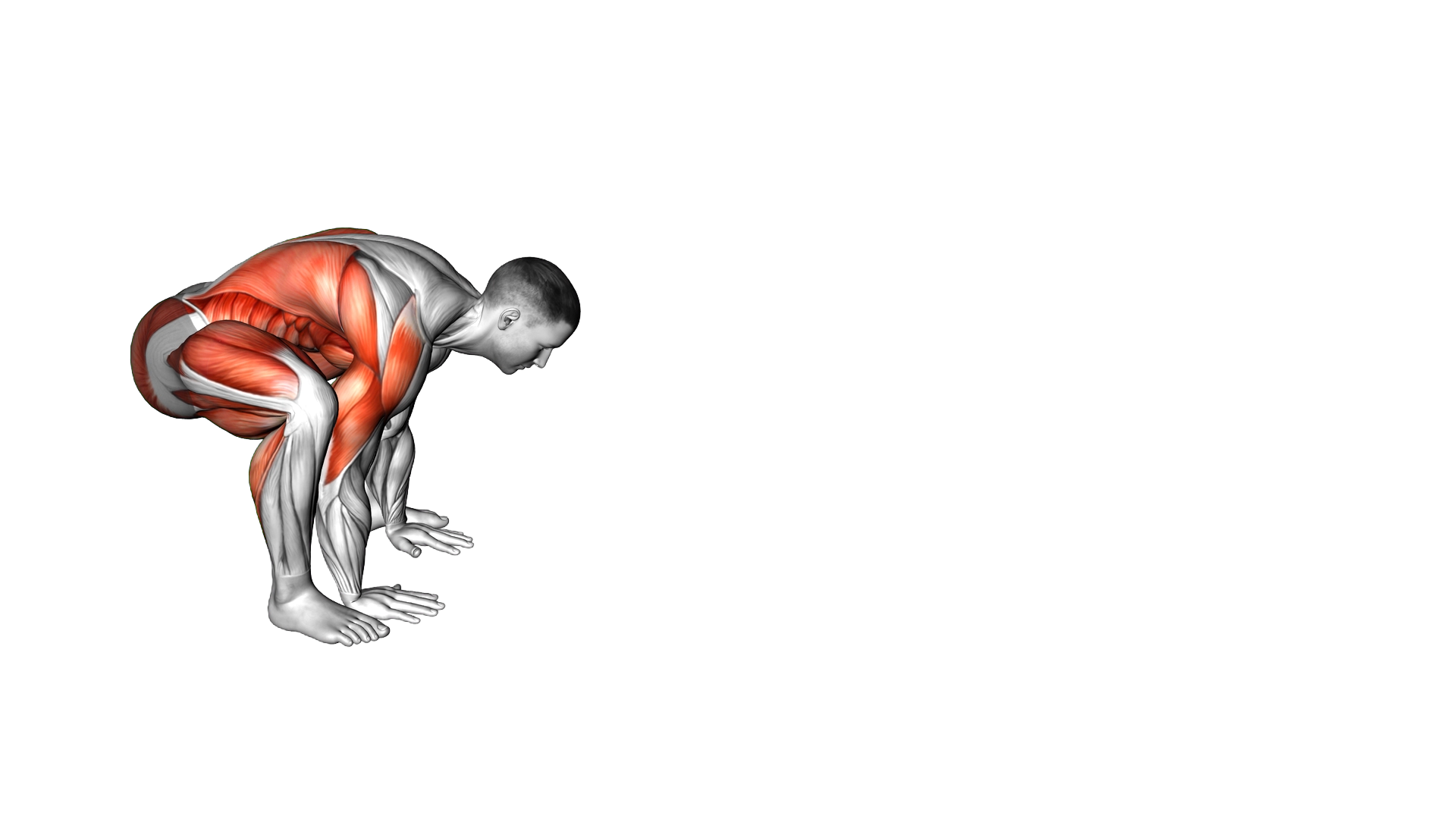 Frog exercise demonstration