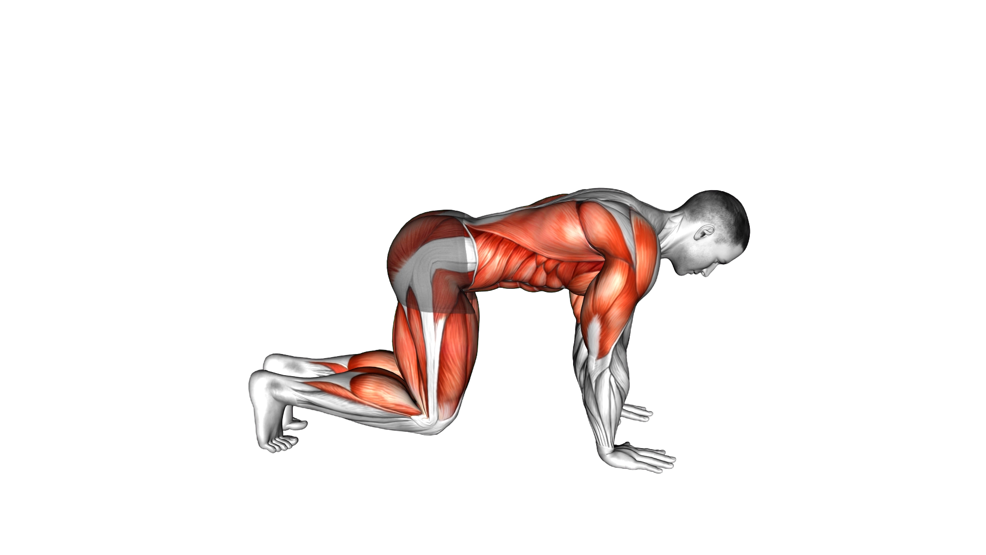 Crawl Switch exercise demonstration