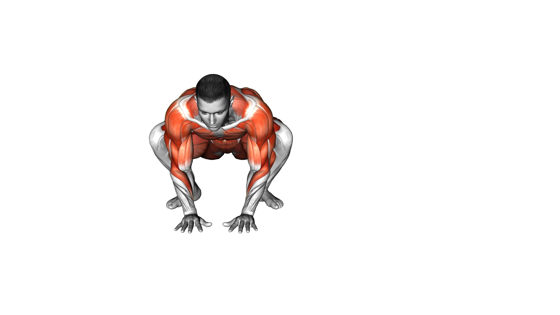 Ape Traverse exercise demonstration