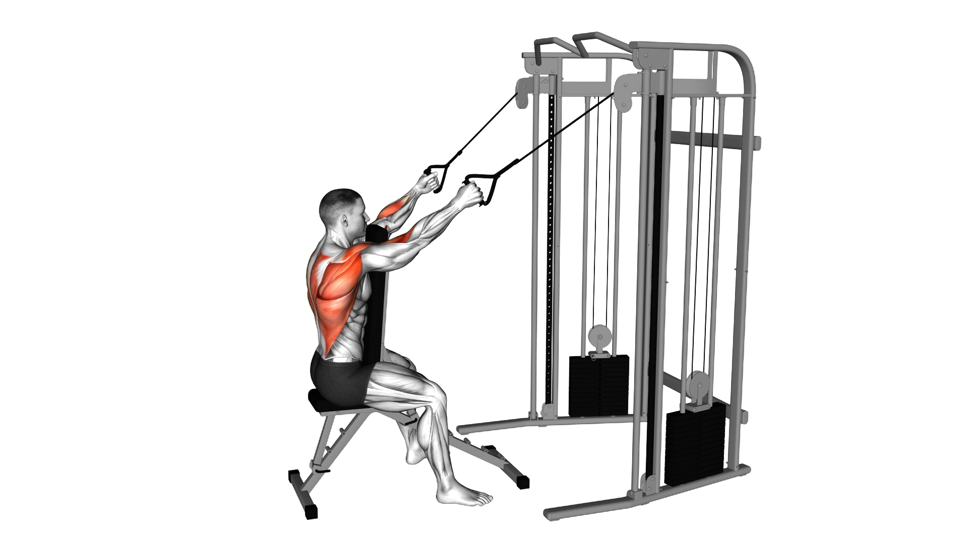Cable High Row with Chest Support exercise thumbnail