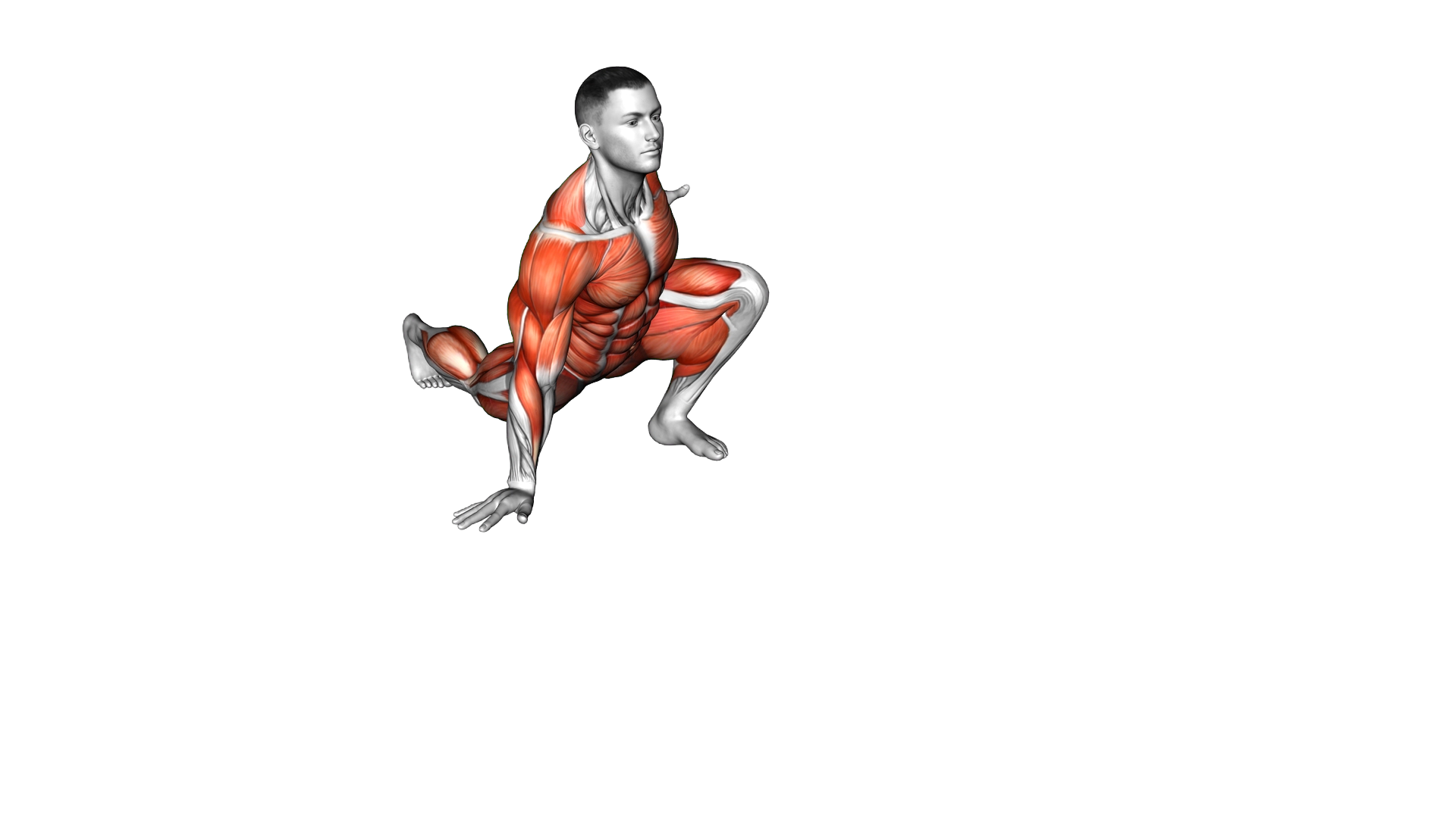 Crocodile Crawl exercise demonstration