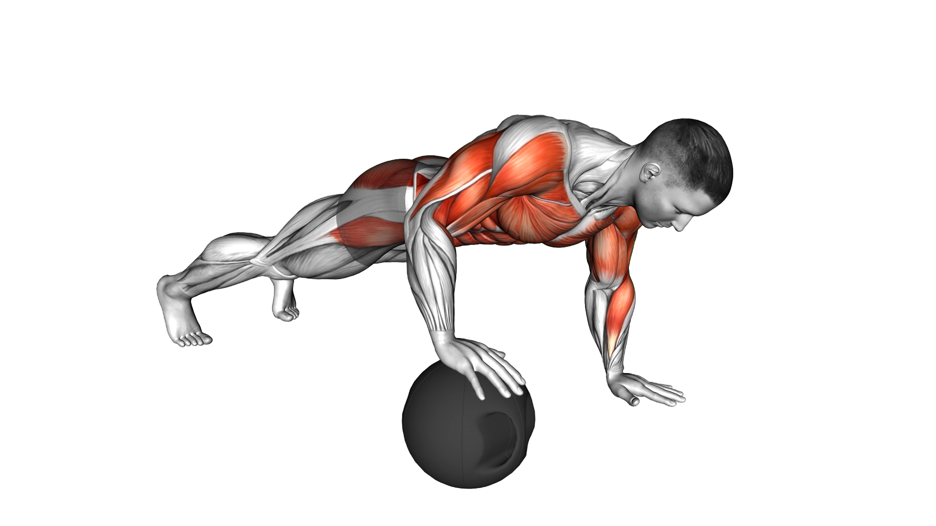Medicine Ball Roll Plank exercise demonstration