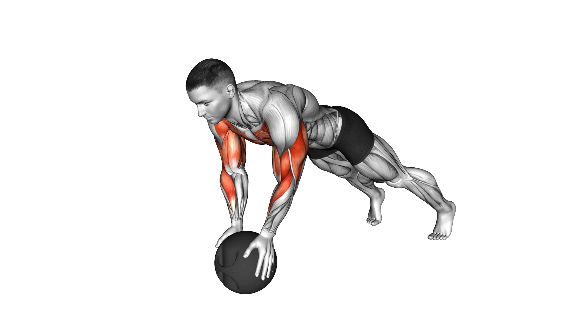 Medicine Ball Plyo Push Up exercise thumbnail