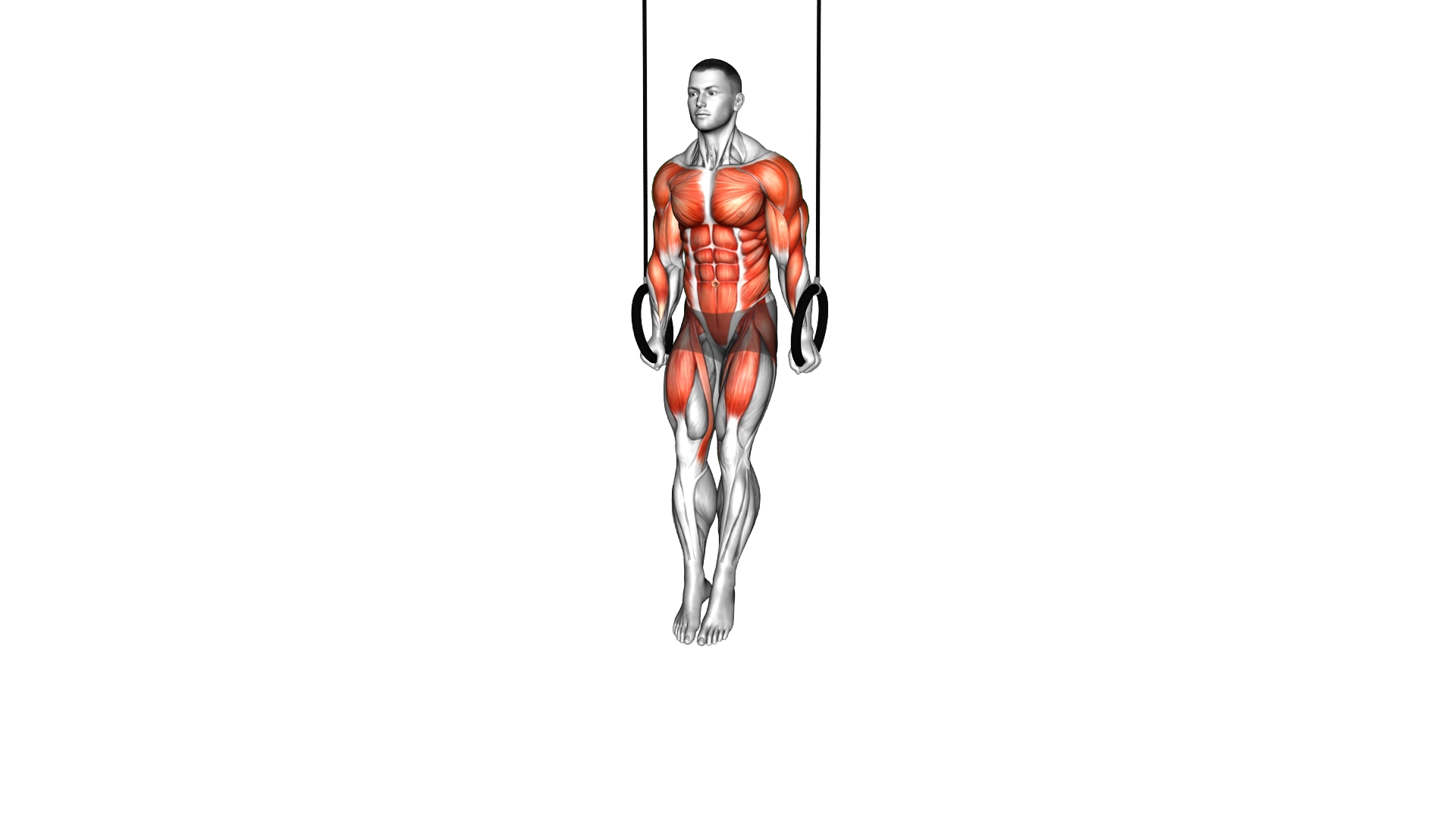 Ring Maltese Cross exercise demonstration