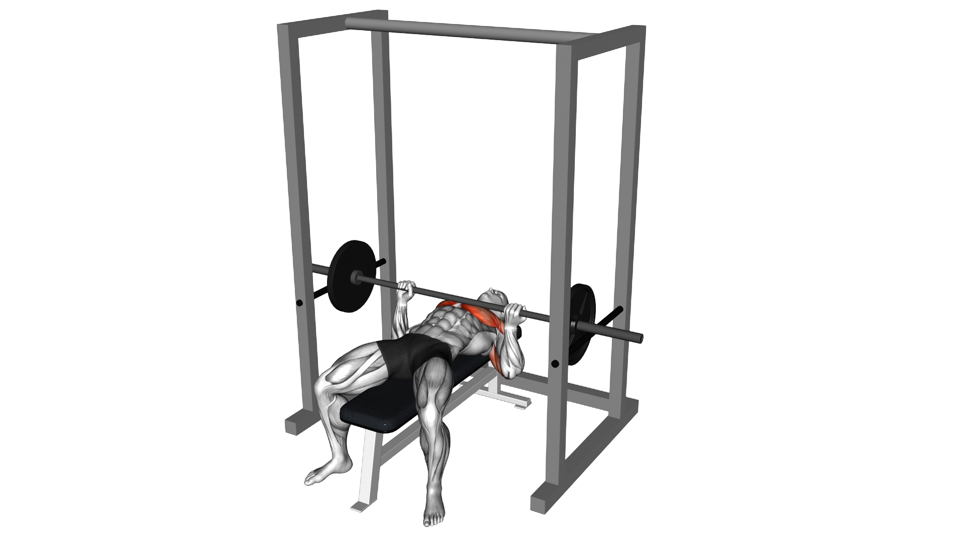 Barbell Pin Bench Press Conventional grip exercise demonstration