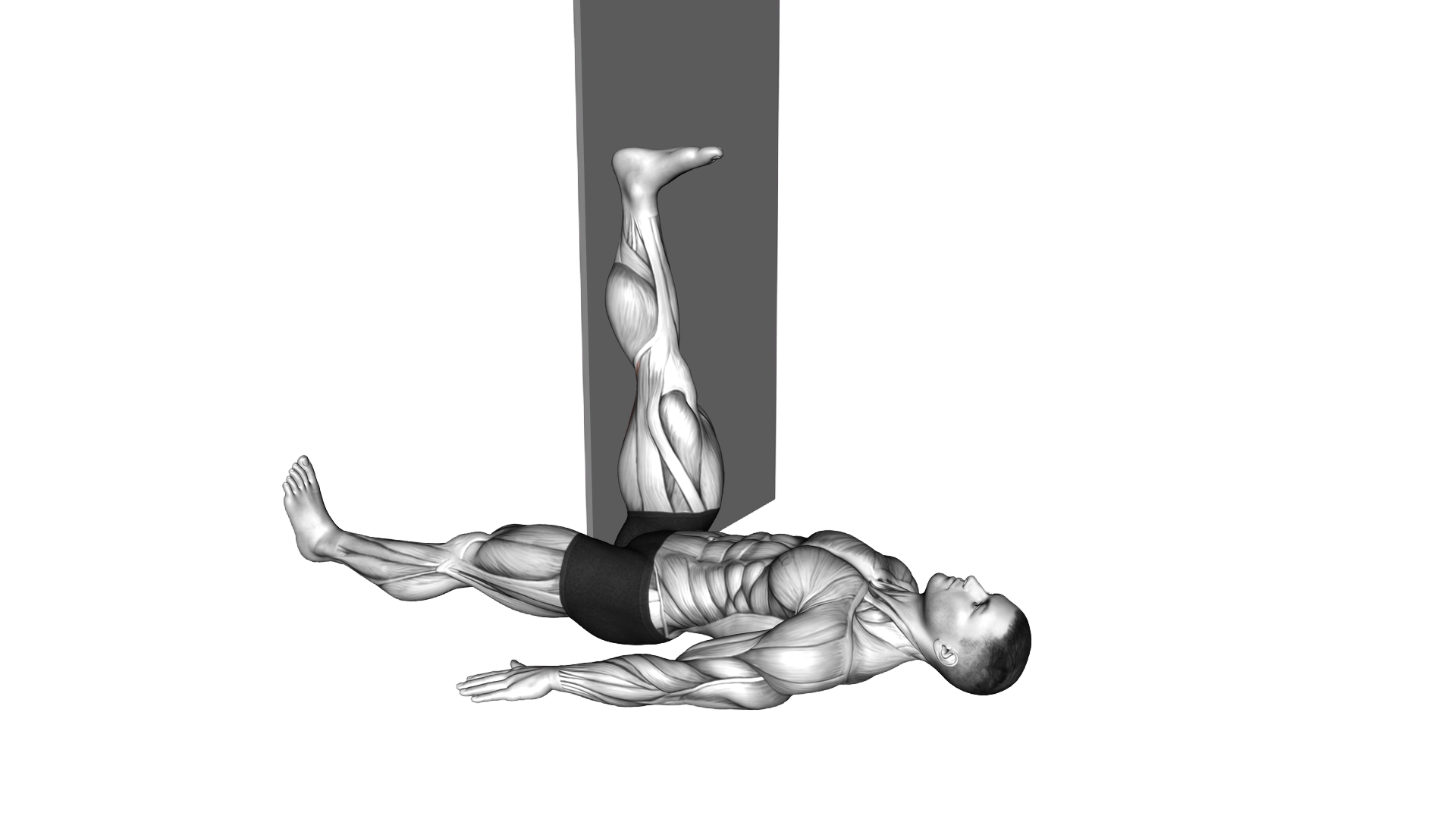 Lying Single Leg Hamstring Stretch against Wall (m exercise demonstration