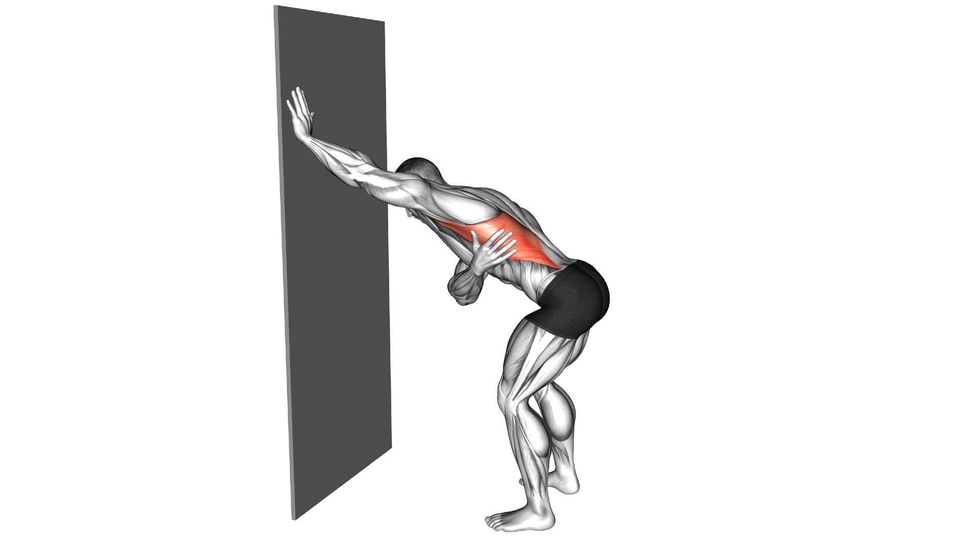 Single Arm Lat Stretch against Wall exercise demonstration