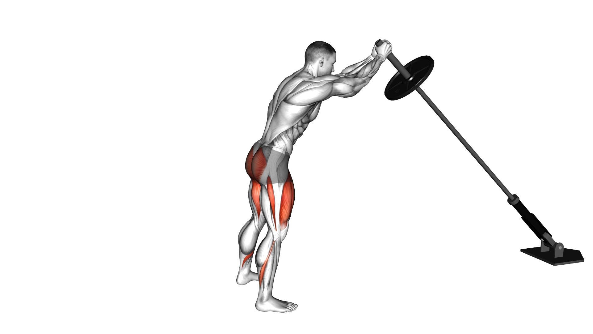 Landmine Squat exercise thumbnail