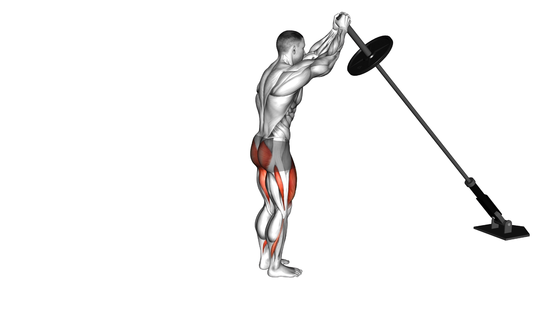 Landmine Overhead Rear Lunge exercise demonstration