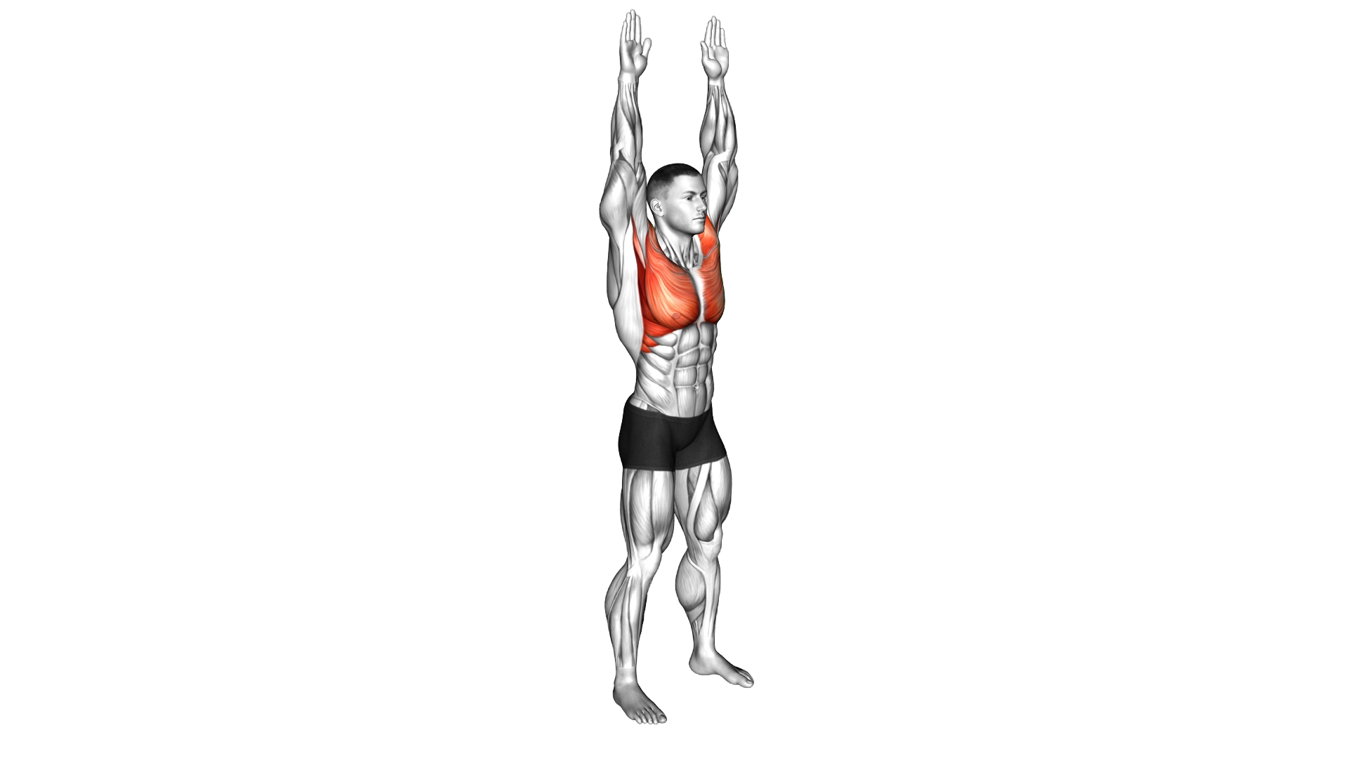 Elbow Touch and Press Up exercise demonstration