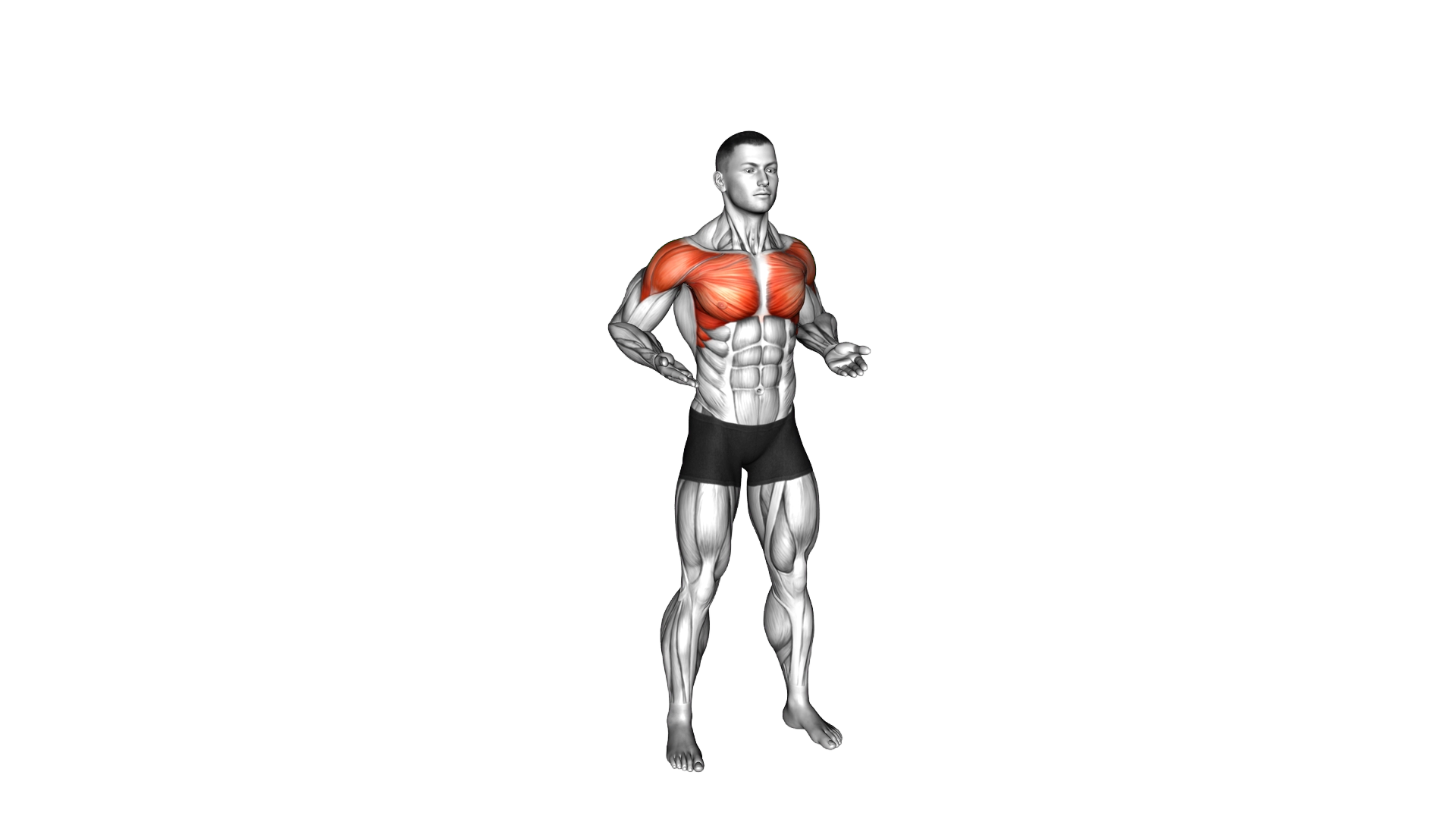 Criss Cross Upper Chest Raise exercise demonstration