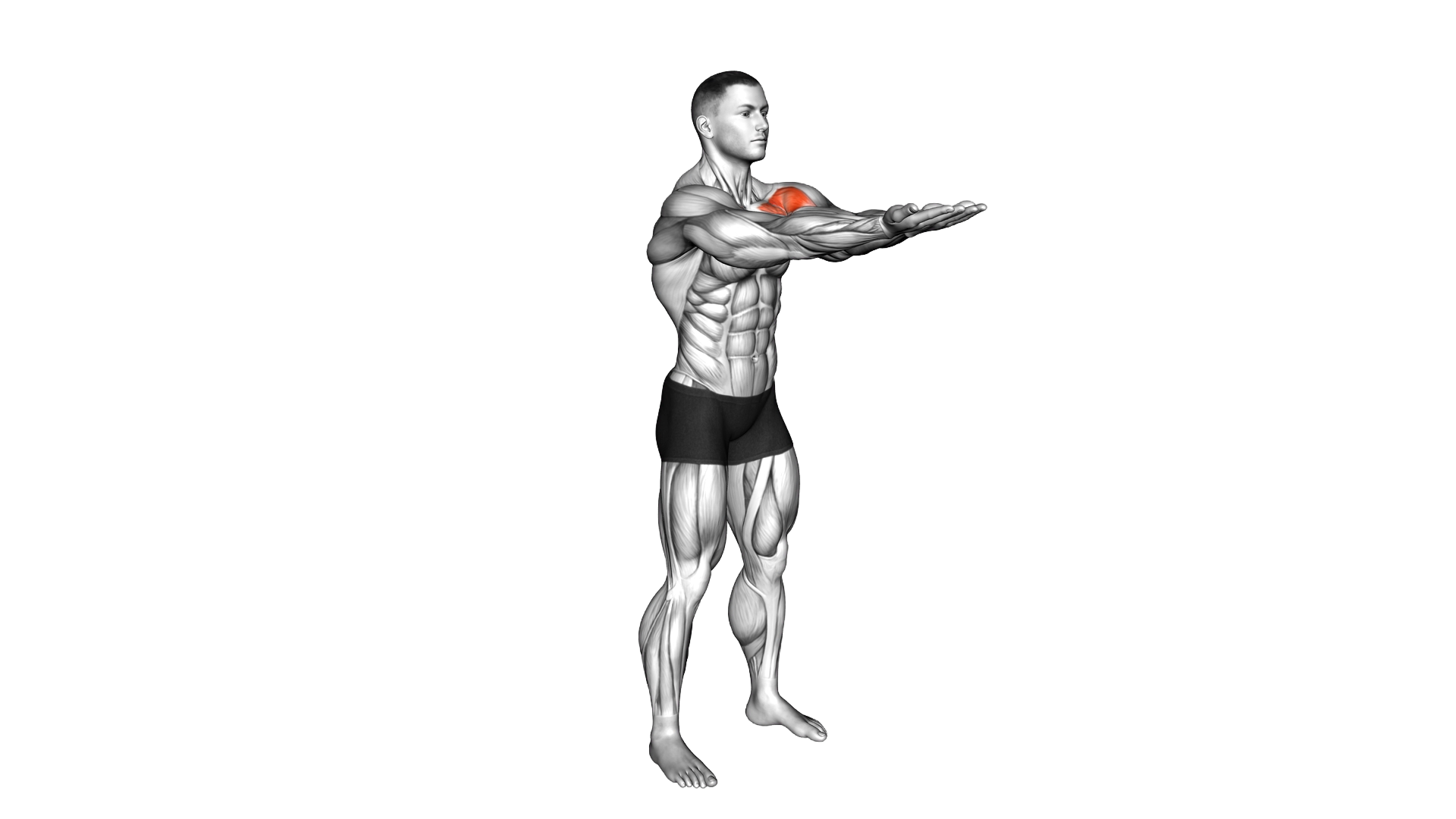 Elbow Closed Arms Pulse exercise demonstration