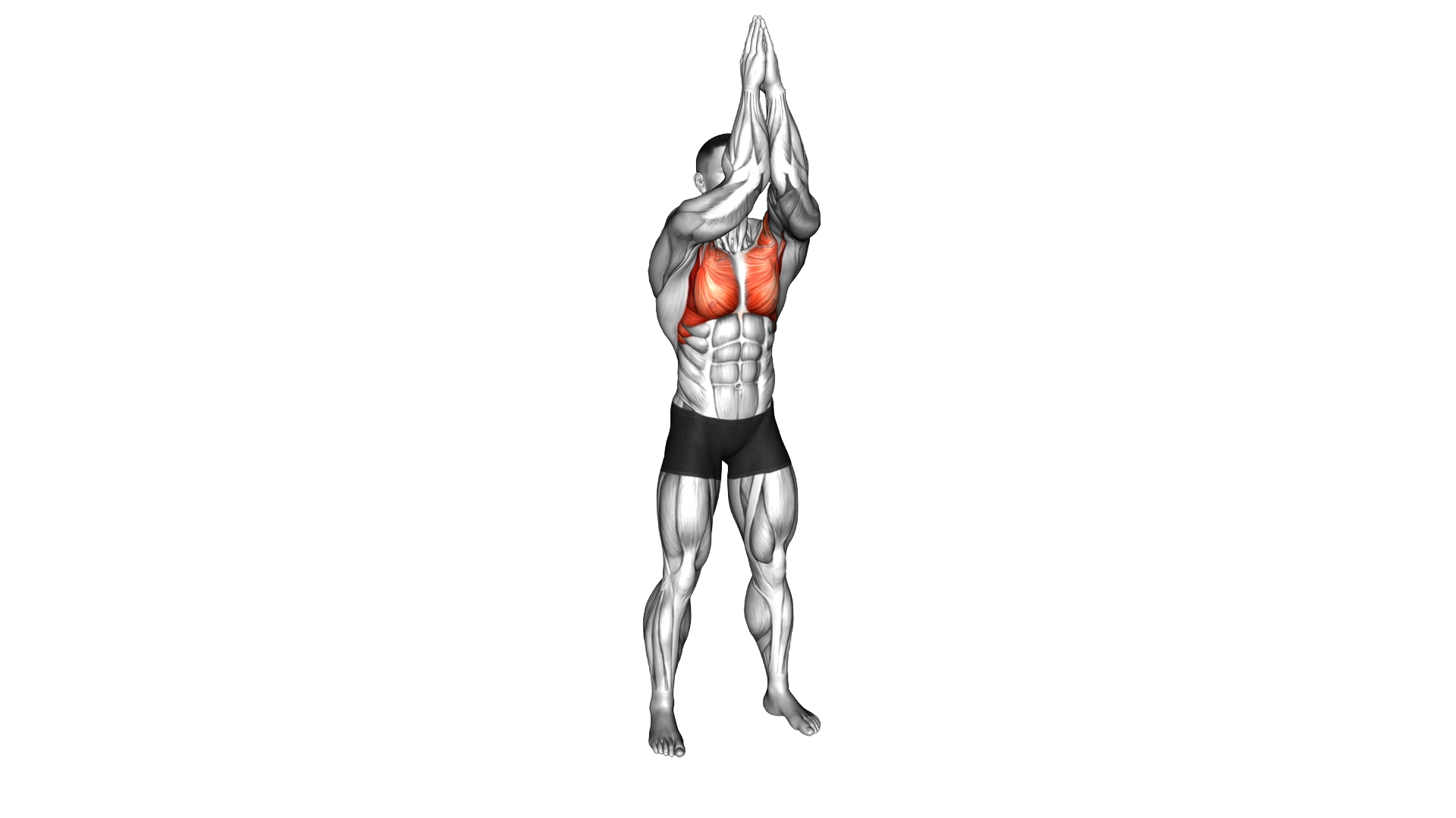 Criss Cross Arms Prayer Push exercise demonstration