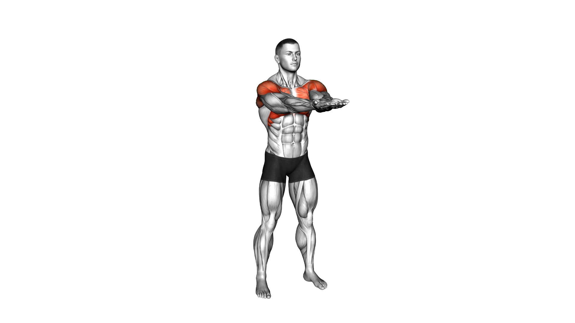 Arms Forward and Behind the Neck exercise demonstration