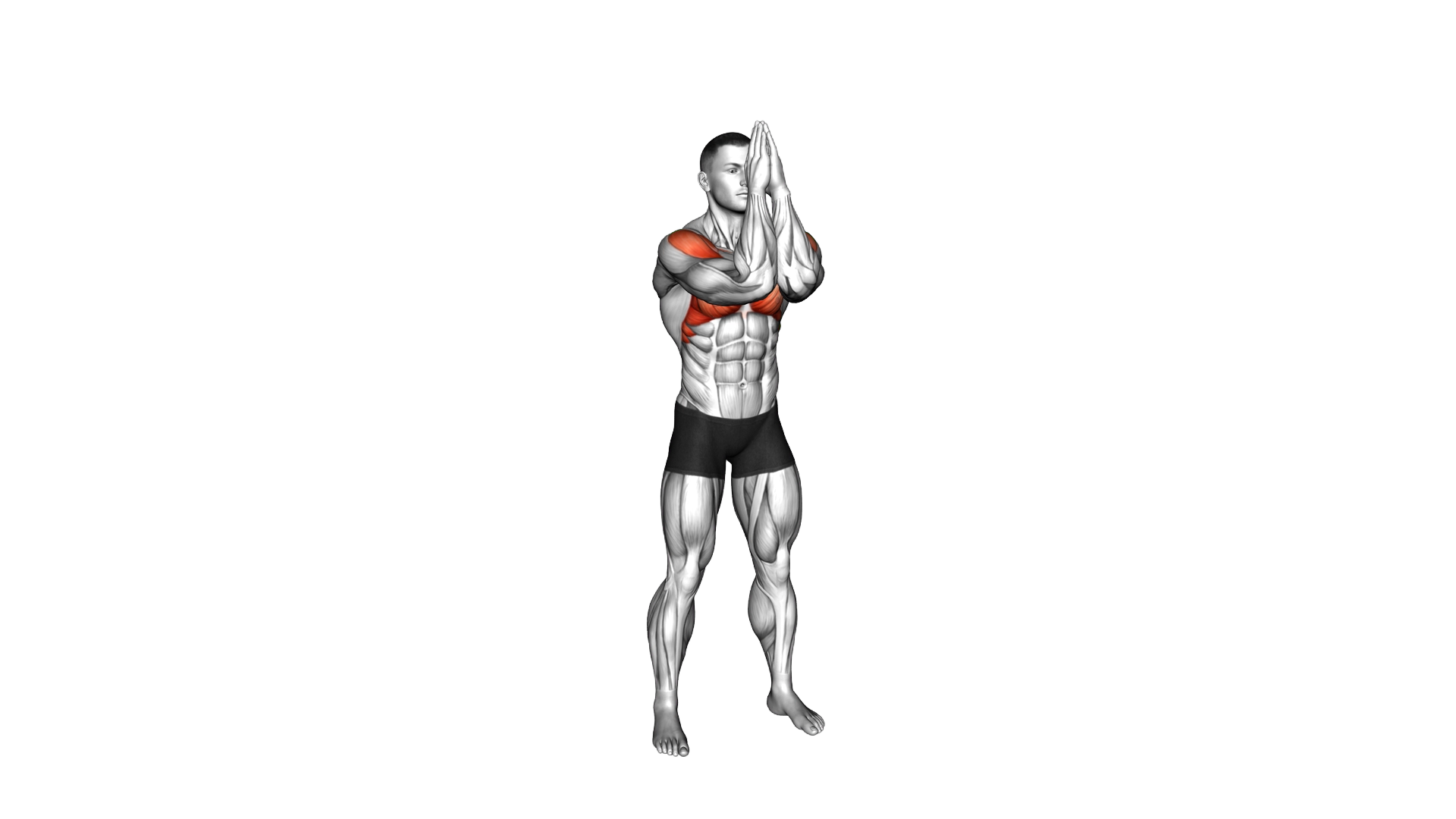 Elbow Prayer Push Circle Draw exercise demonstration