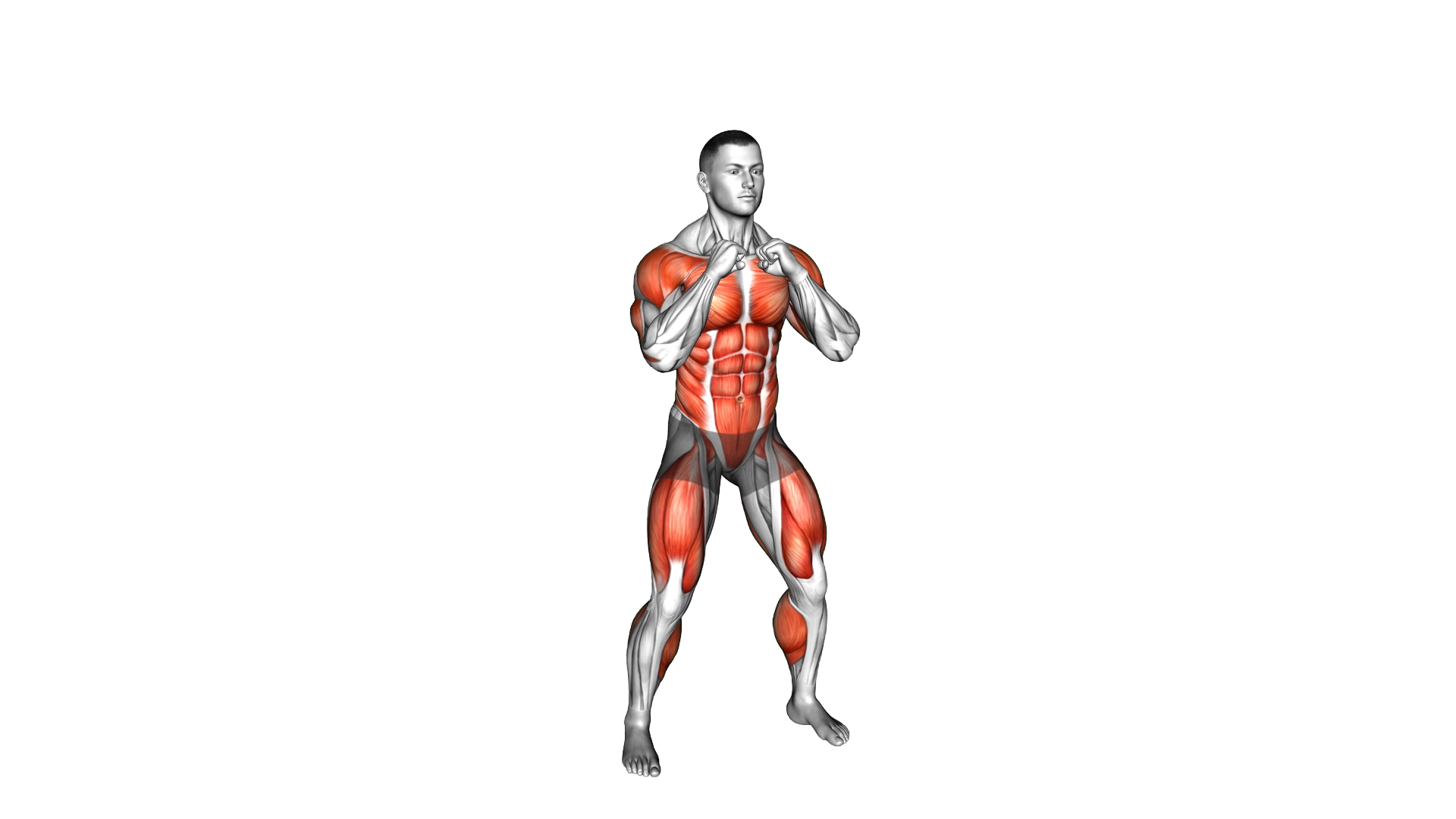 Duck and Forward Punches exercise demonstration