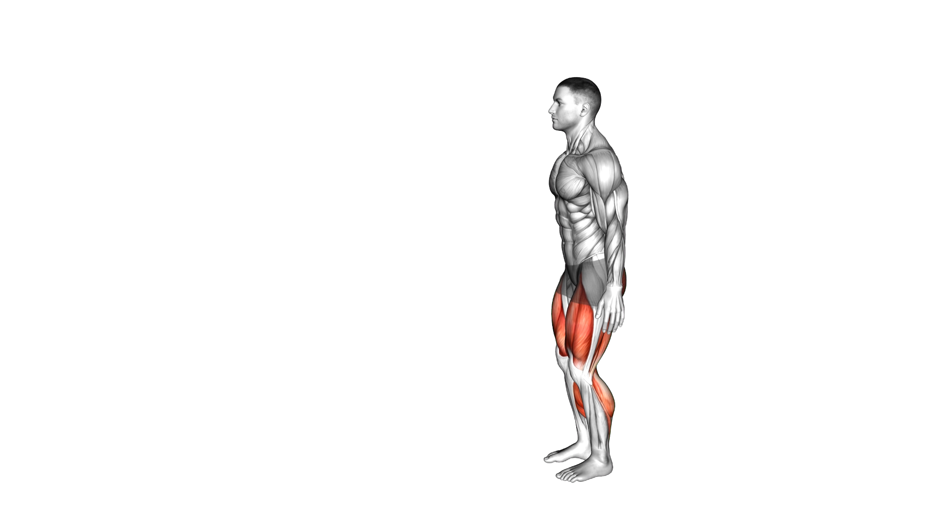 Front Hop Back Hop exercise demonstration