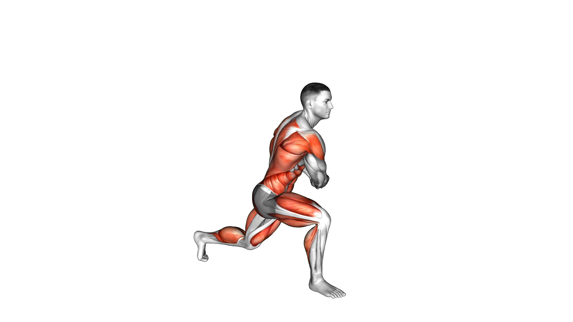 Split Jump Twist Row exercise demonstration