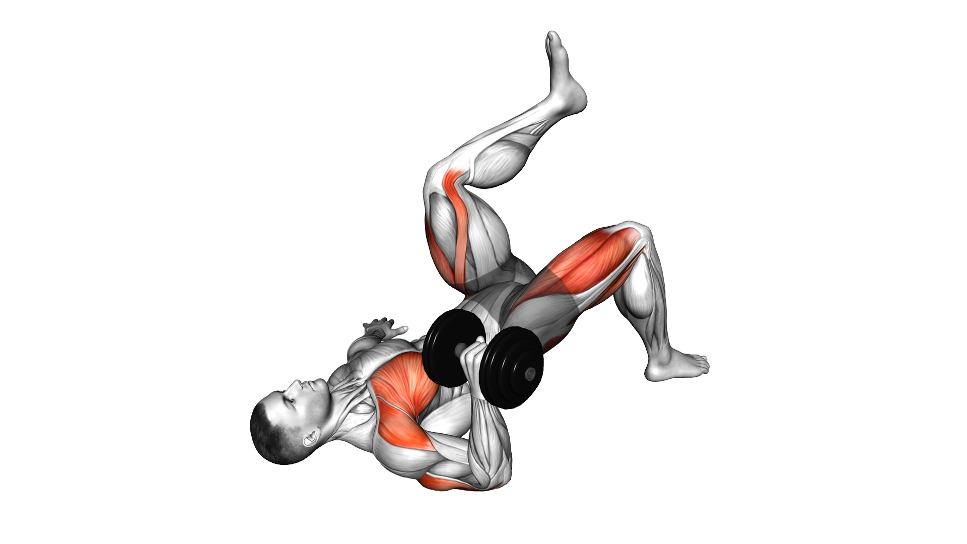 Dumbbell Contralateral Glute Bridge Single Arm Che exercise demonstration