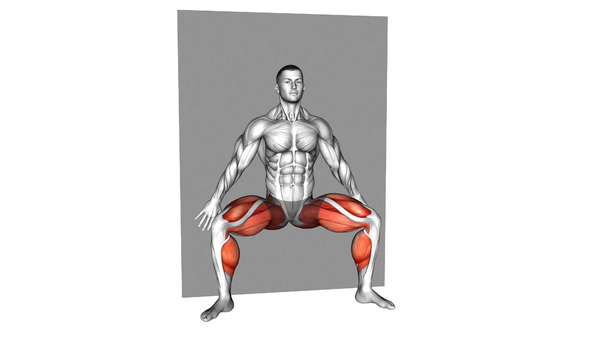 Half Squat Wall Tip Toe exercise demonstration