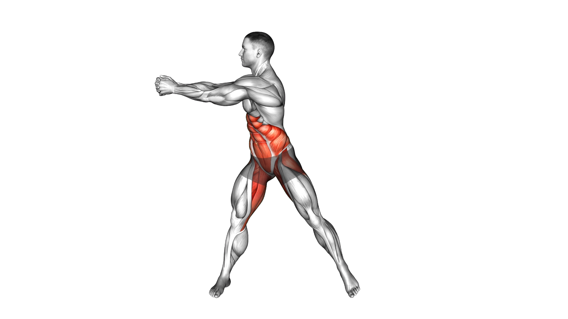 Swing Torso Twist exercise demonstration