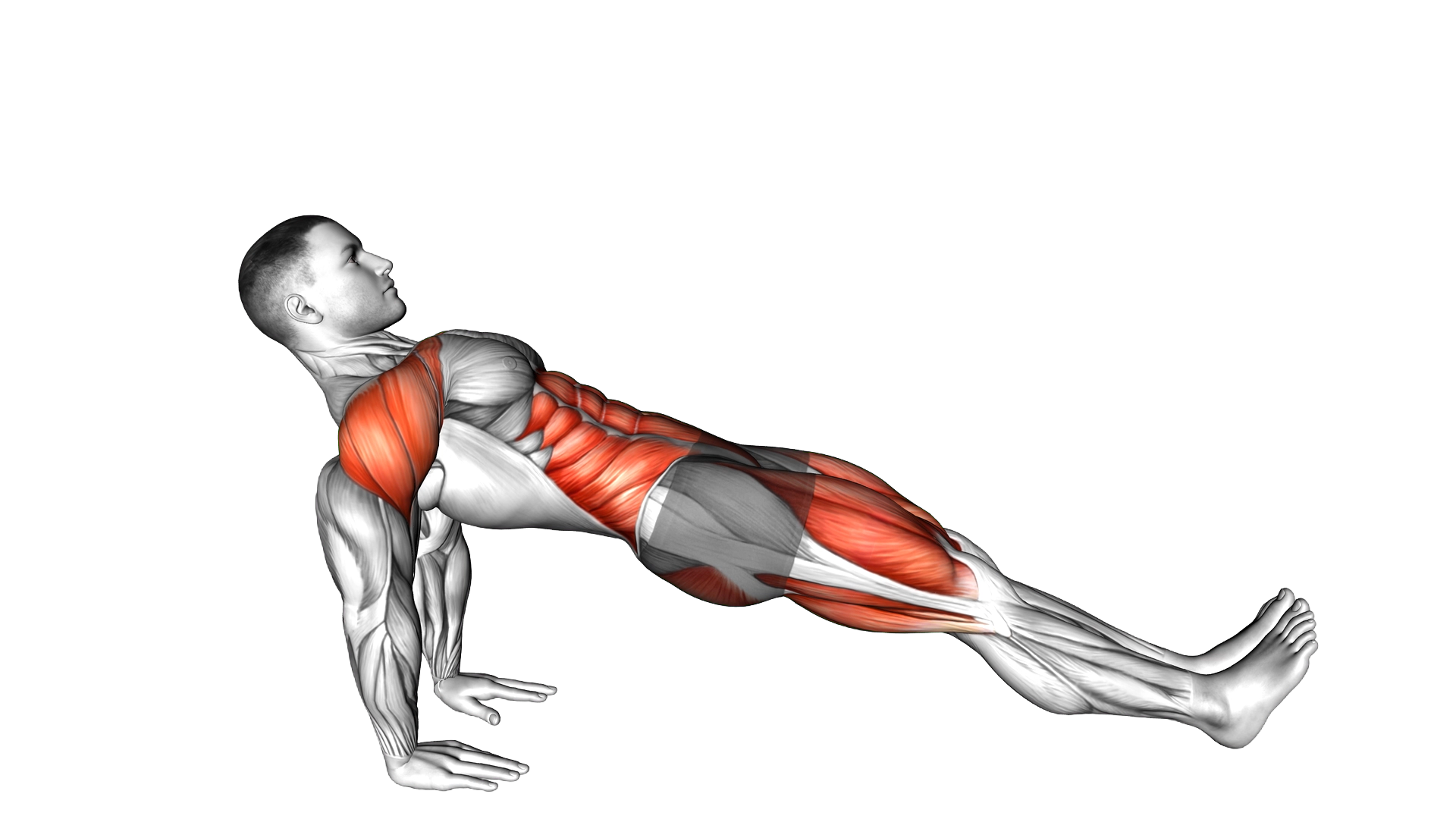 Reverse Plank March exercise demonstration