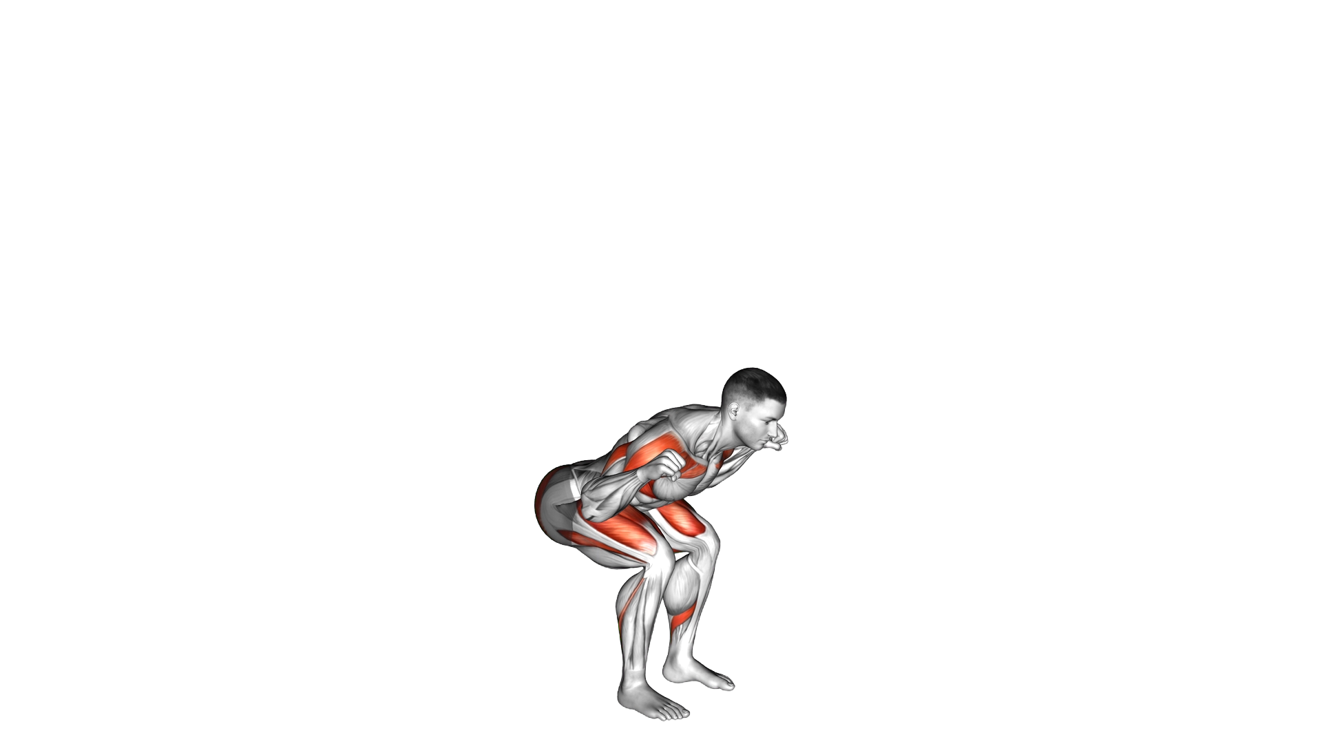 Squat Press Up exercise demonstration