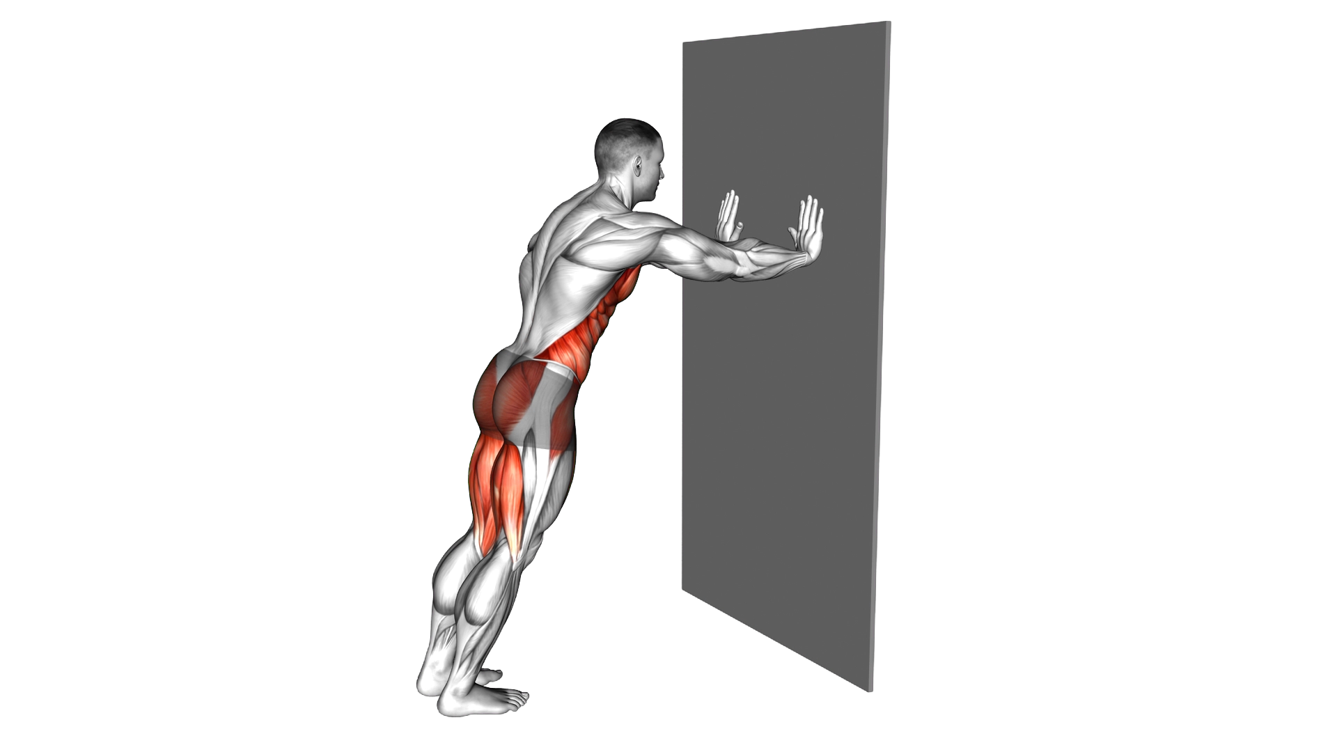 Side Crunch against Wall exercise demonstration