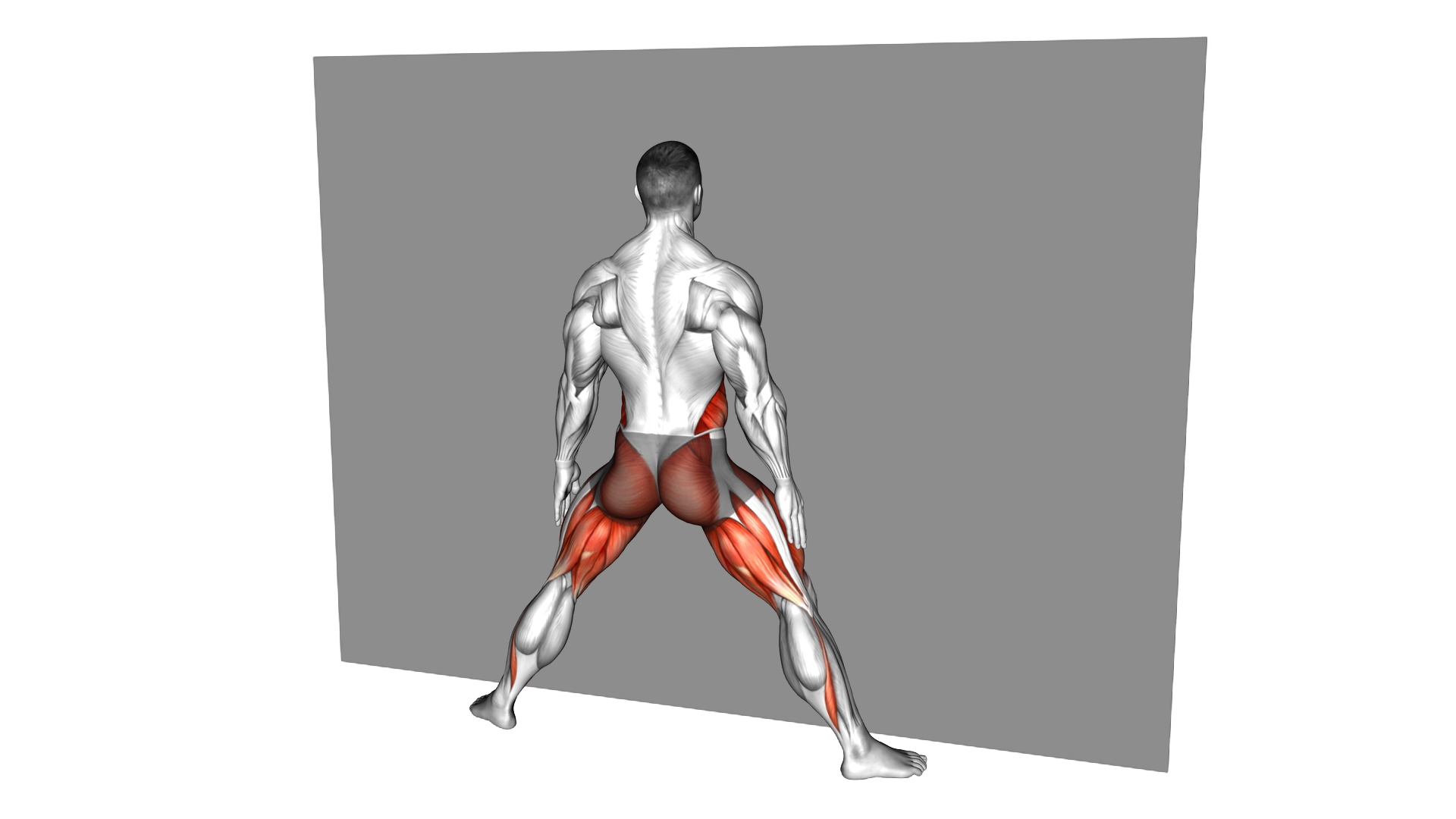 Wall Side Lunge Torso Rotation exercise demonstration