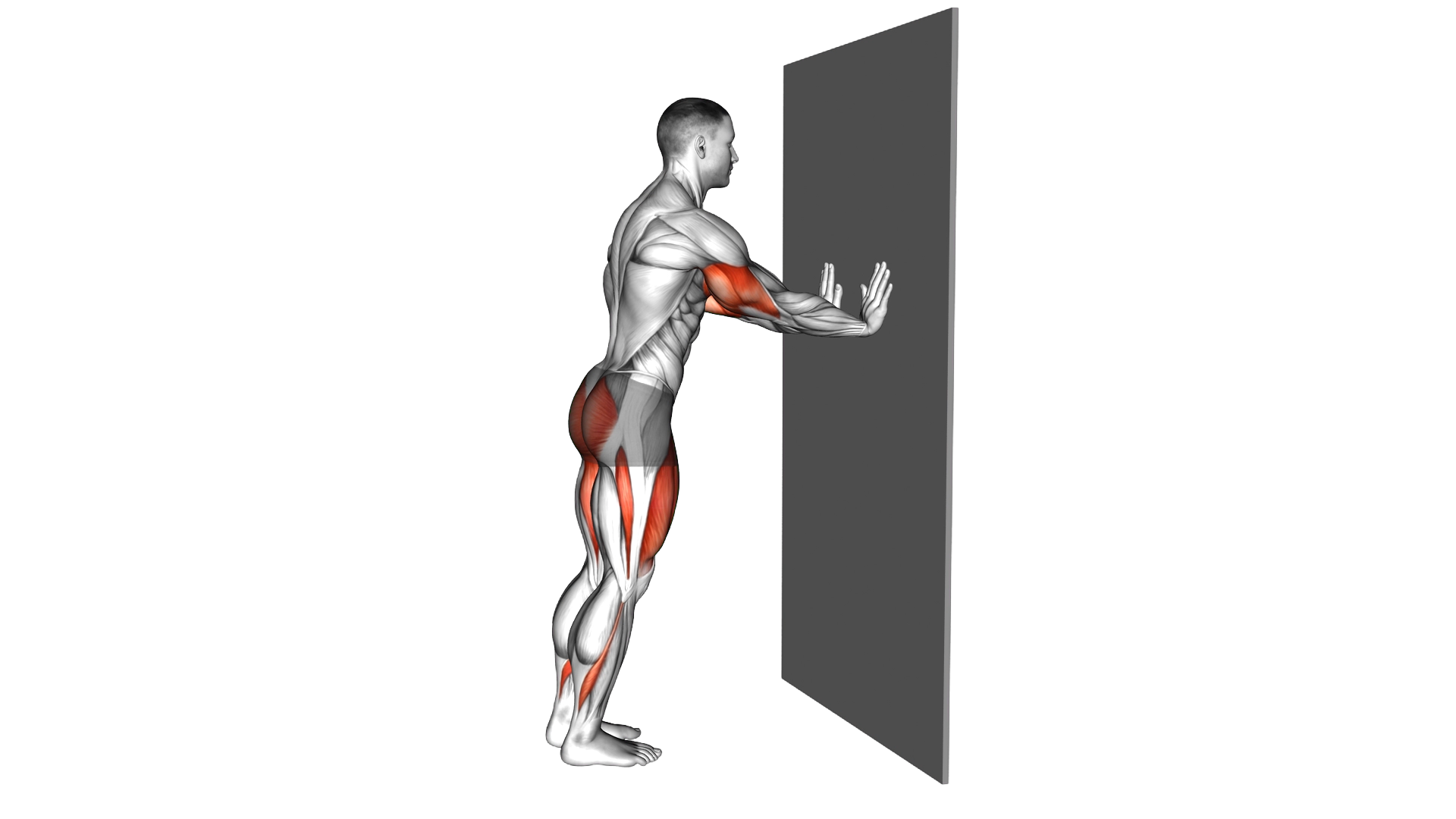 Push up Alternate Rear Lunge against Wall exercise demonstration
